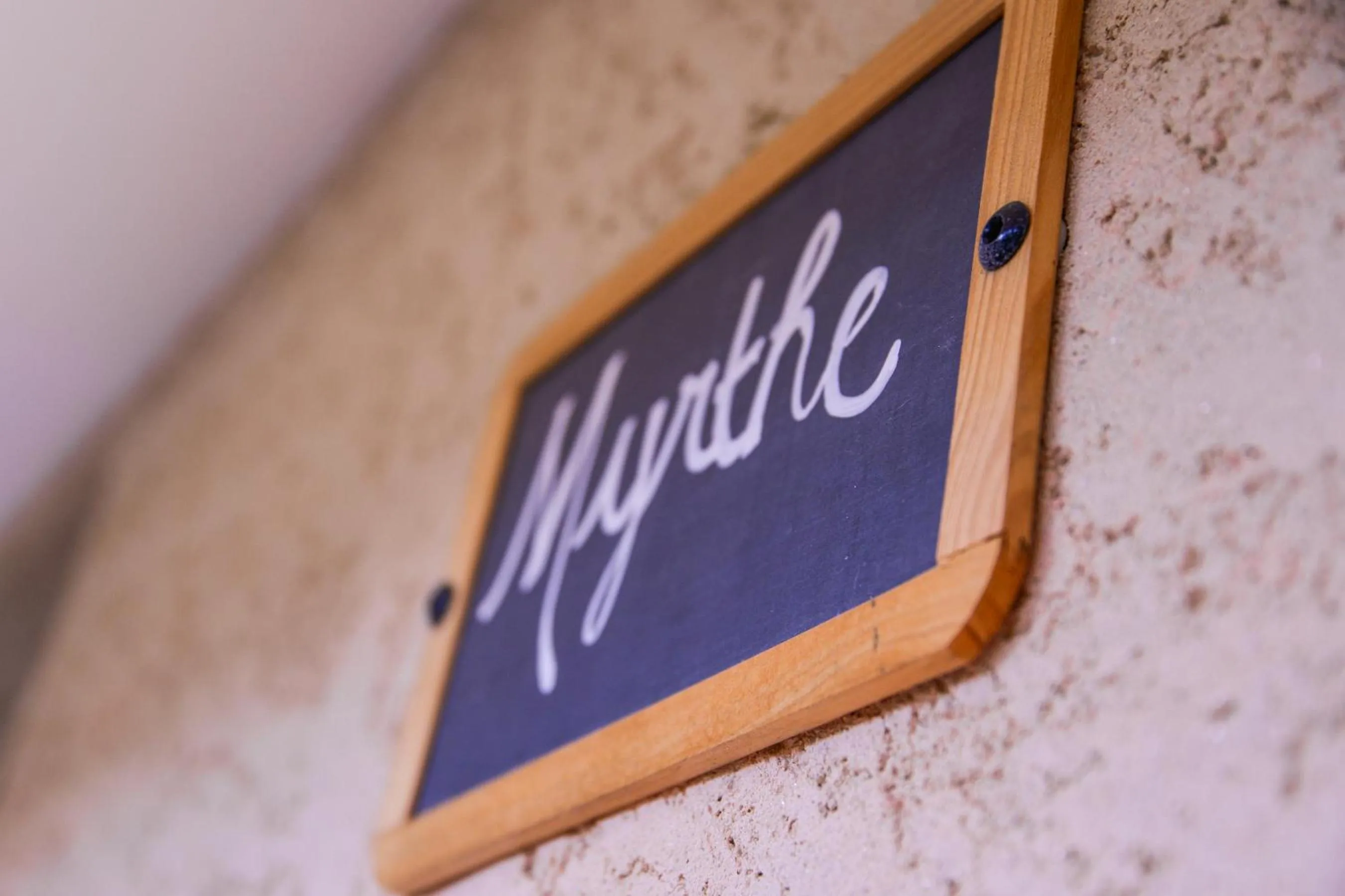 Decorative detail in Prea Gianca