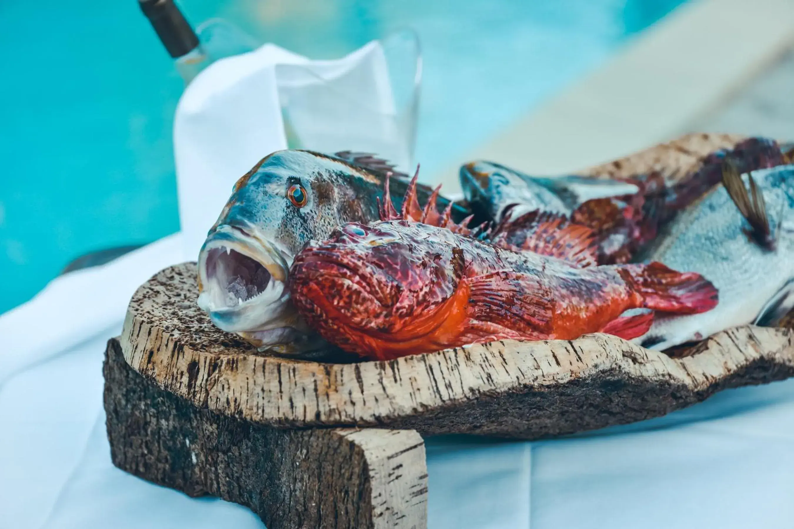 Food close-up in Prea Gianca Food close-up in Prea Gianca