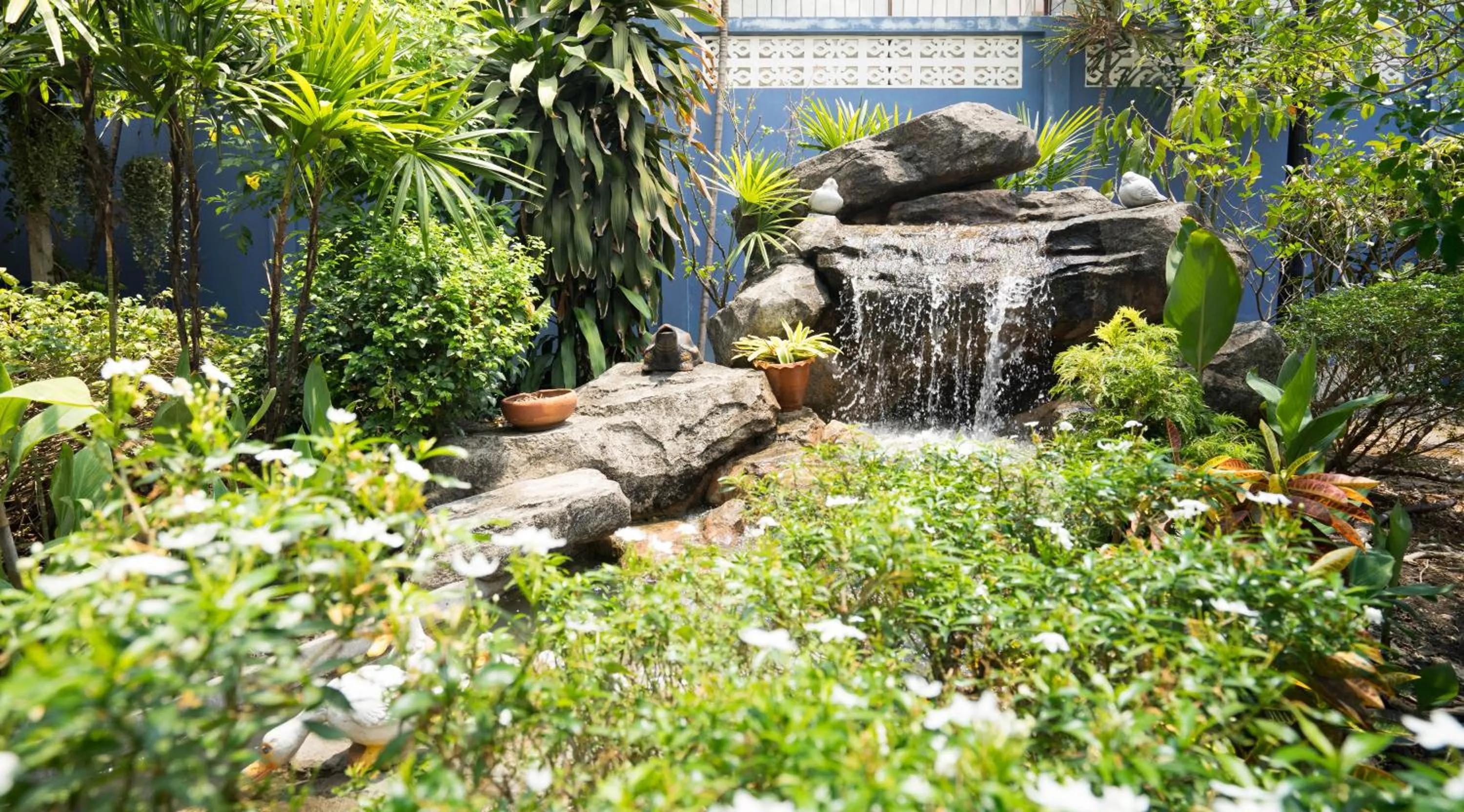 Garden in Baan Anodat