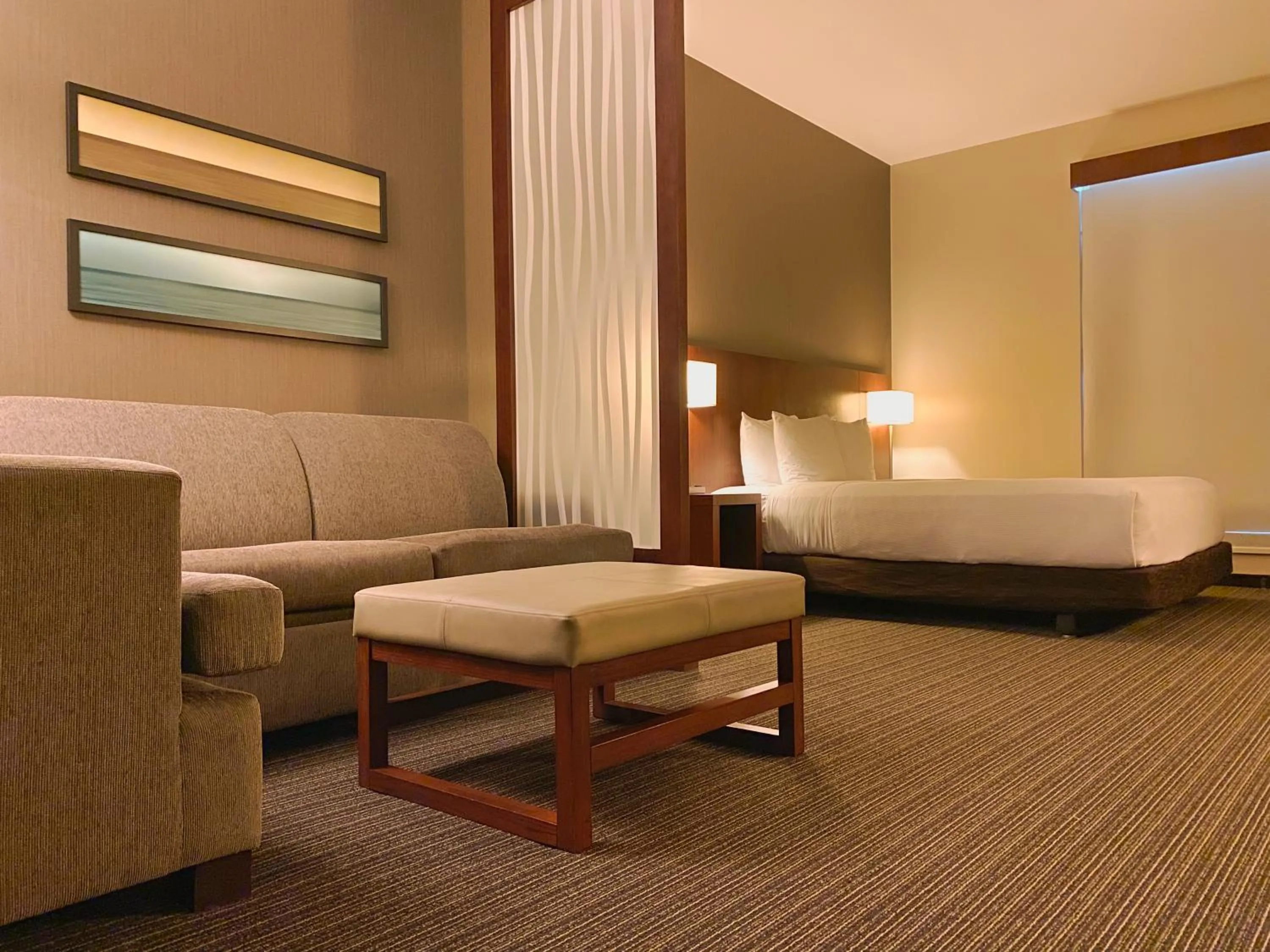 Living room, Bed in Hyatt Place San Jose Pinares