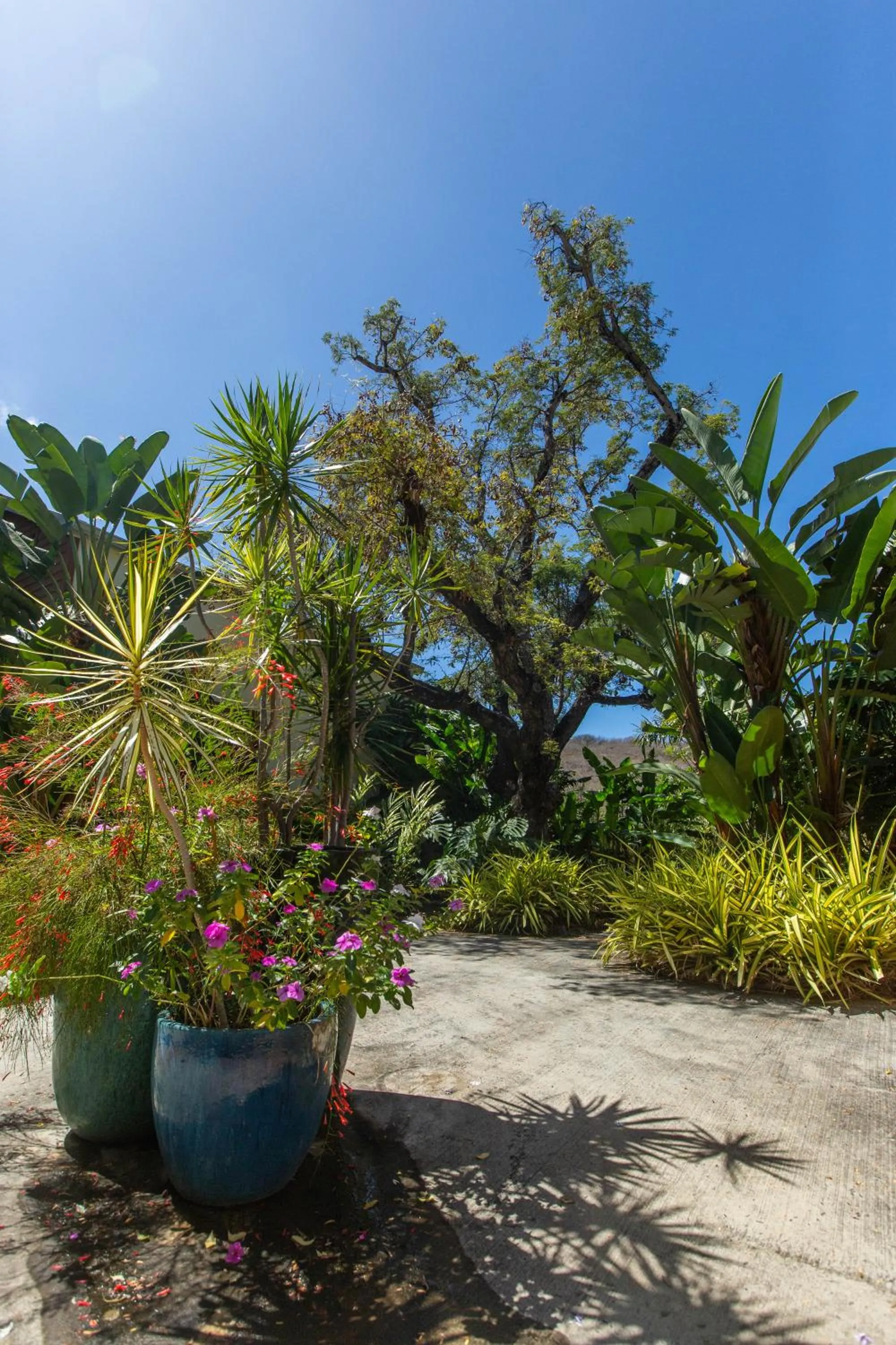 Garden in Tama Hotel