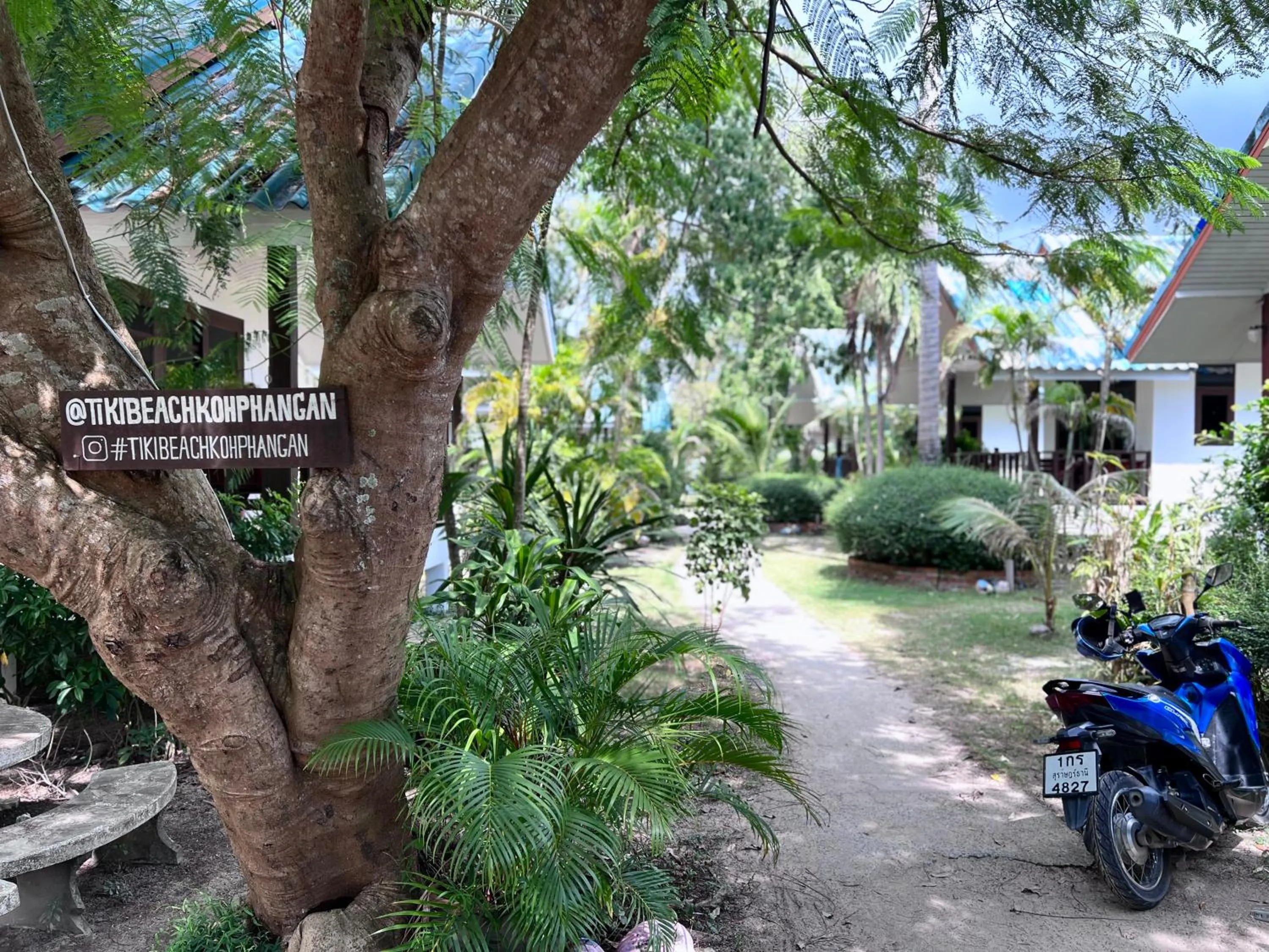 Tiki Beach Koh Phangan Beach Restaurant Bar and Coworking