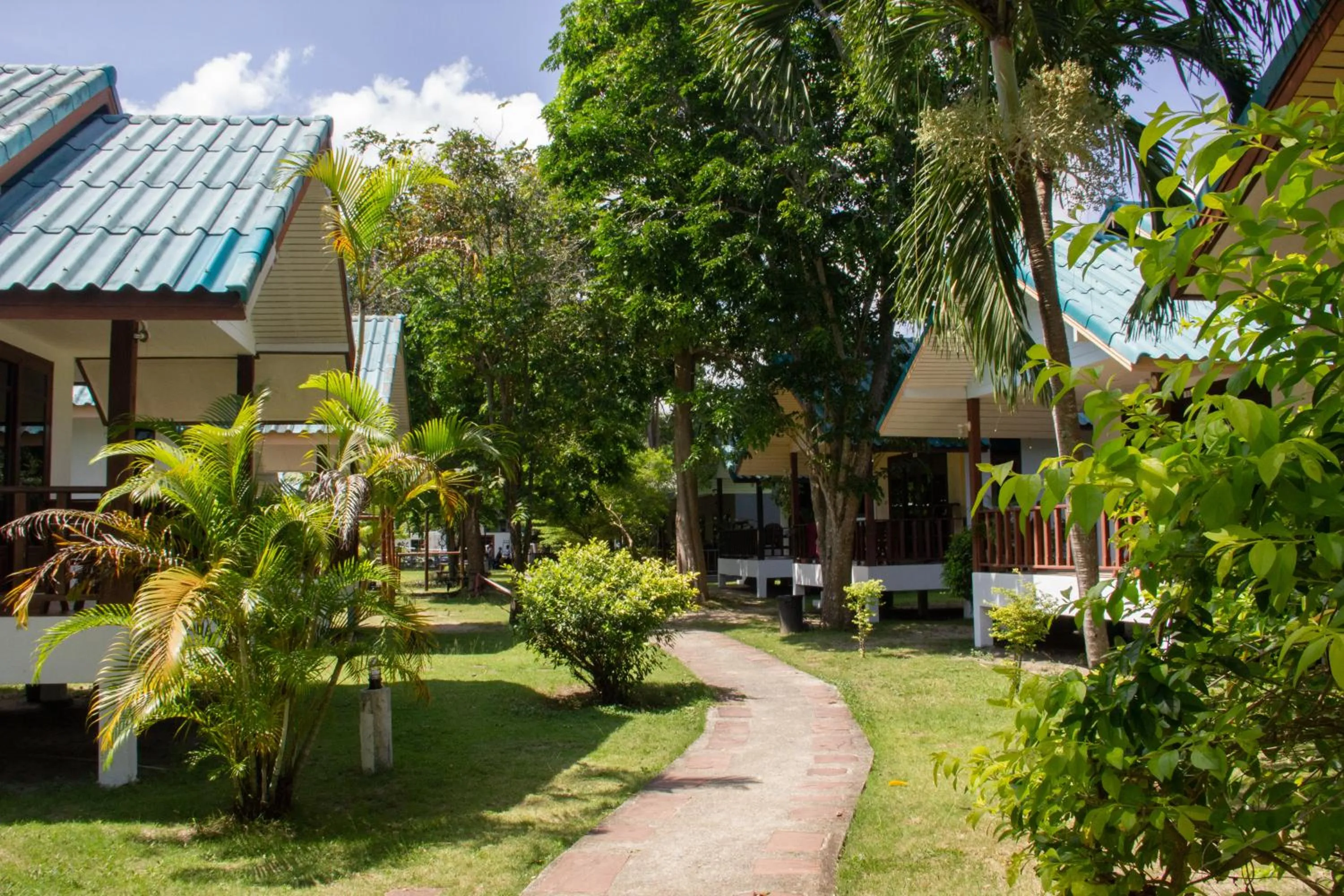 Garden in Tiki Beach Koh Phangan Beach Restaurant Bar and Coworking