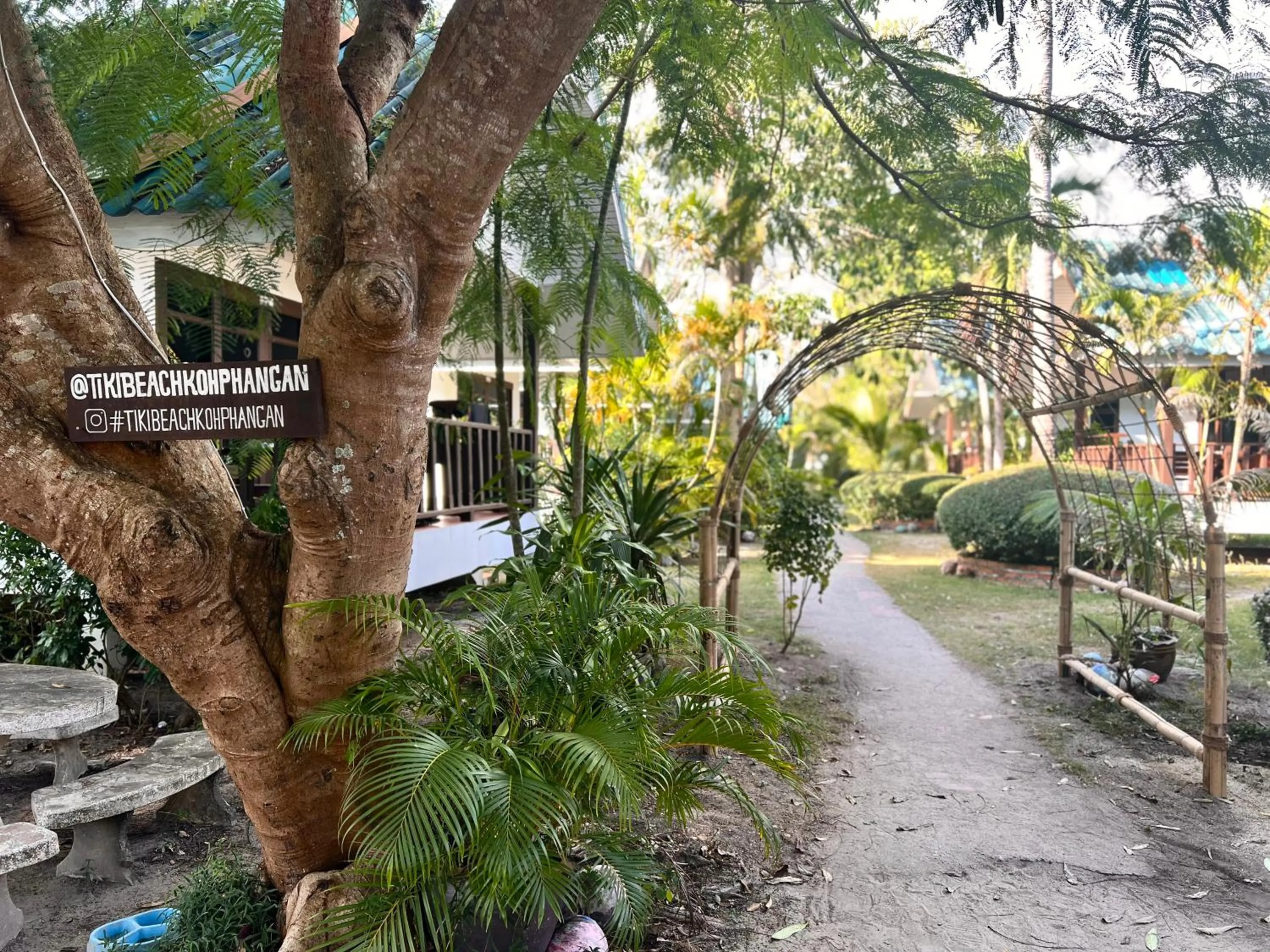 Tiki Beach Koh Phangan Beach Restaurant Bar and Coworking