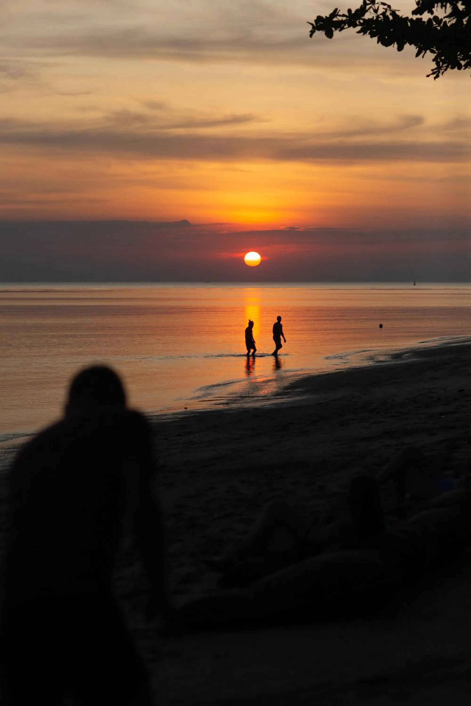 Beach in Tiki Beach Koh Phangan Beach Restaurant Bar and Coworking