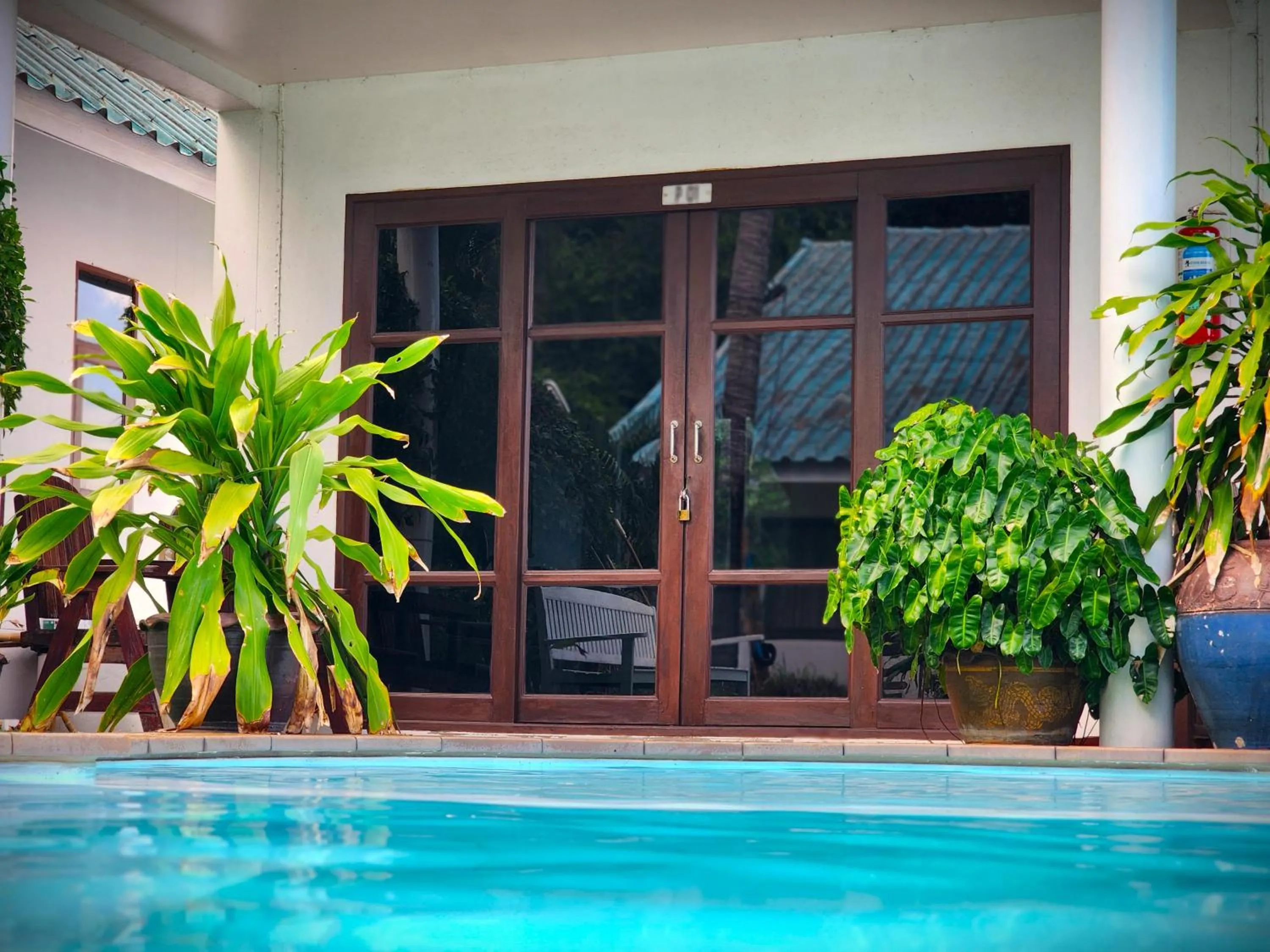 Tiki Beach Koh Phangan Beach Restaurant Bar and Coworking