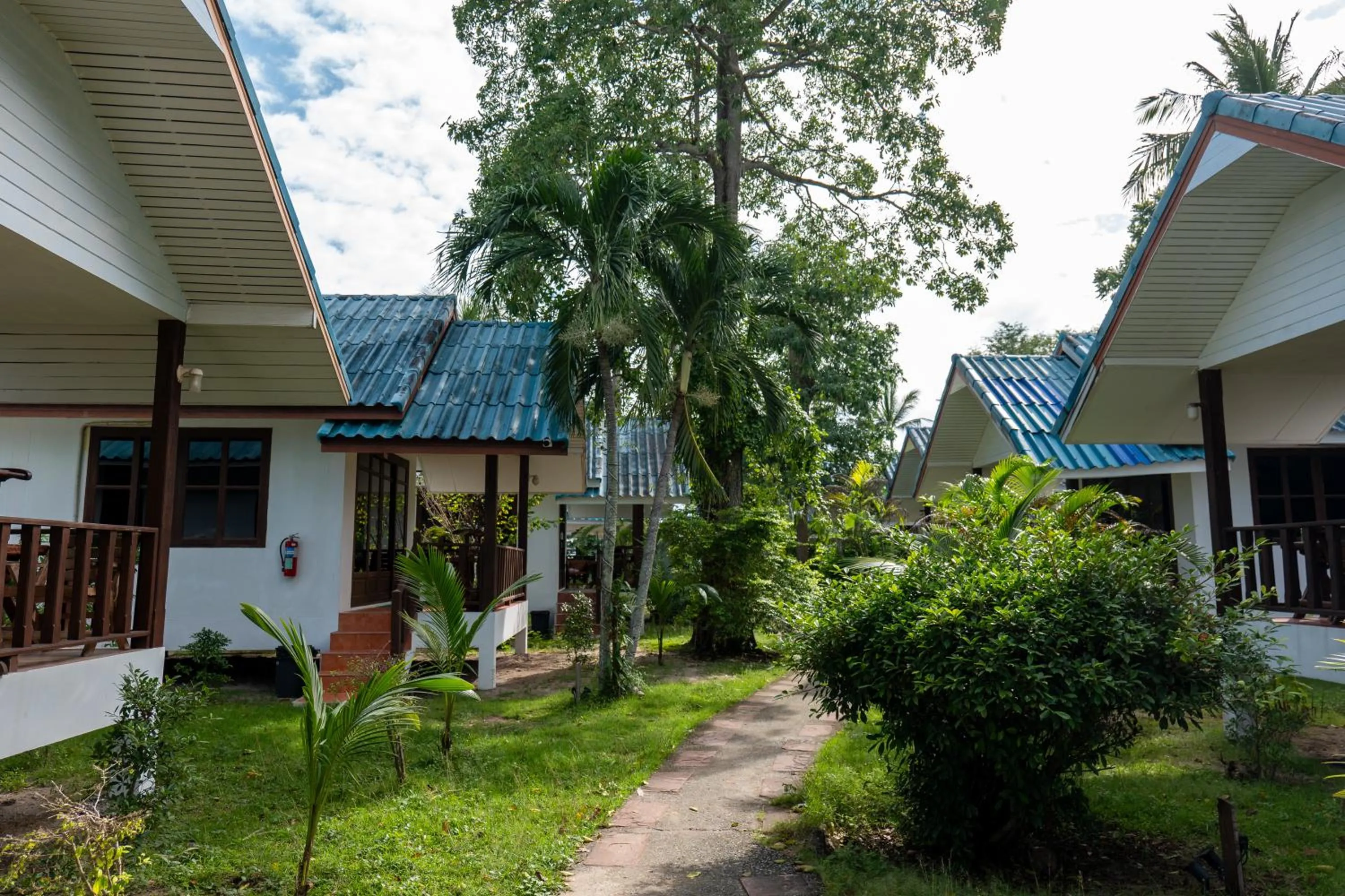 Tiki Beach Koh Phangan Beach Restaurant Bar and Coworking