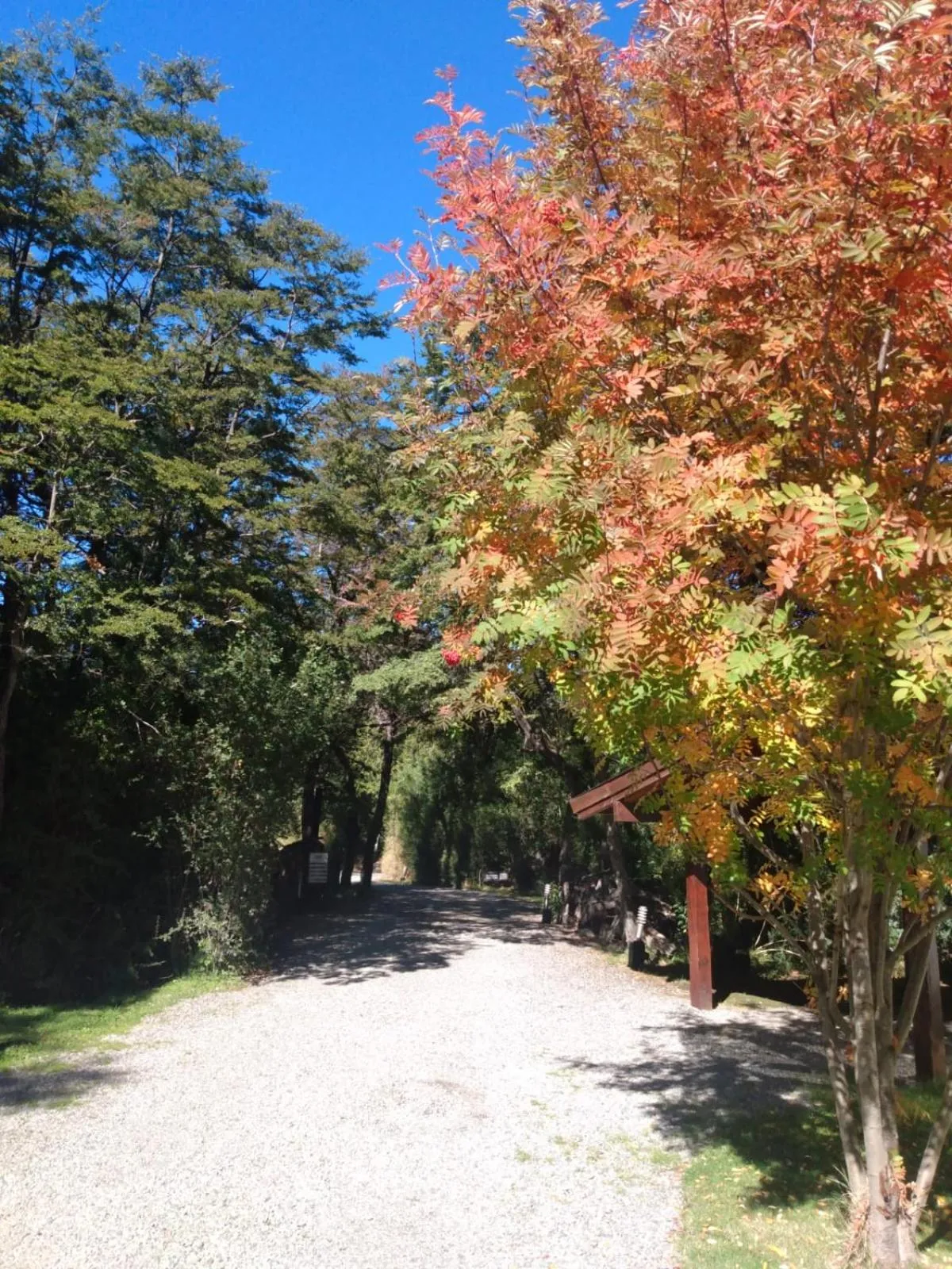 Arbolar, Casas de Montaña- Piscina climatizada