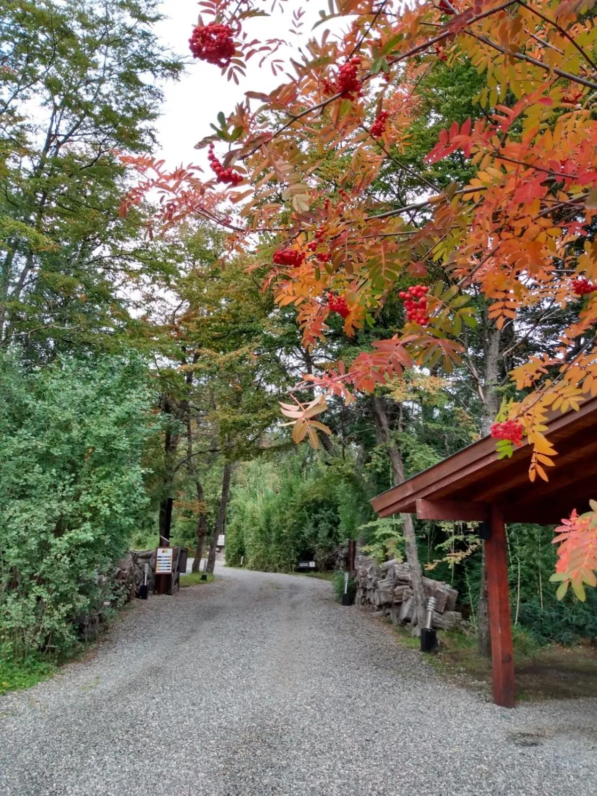 Arbolar, Casas de Montaña- Piscina climatizada