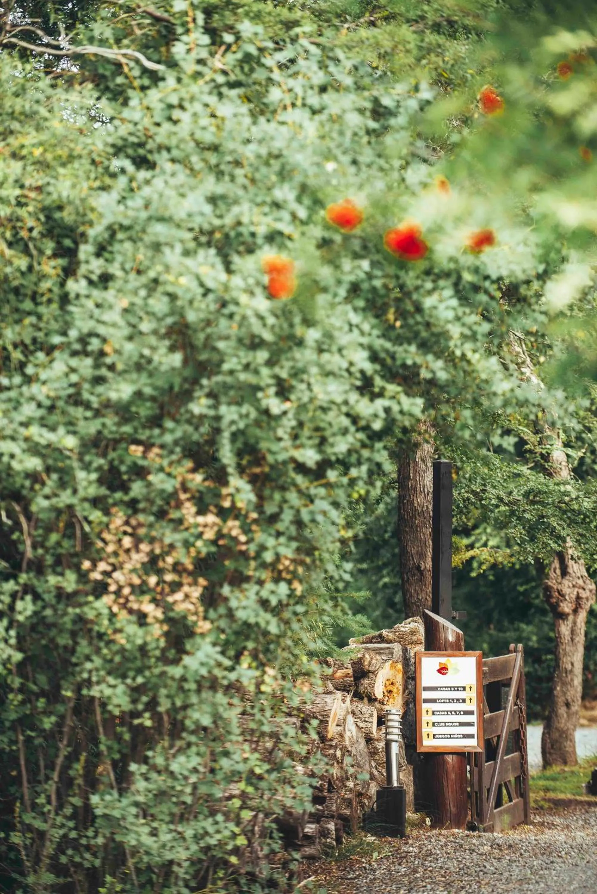 Arbolar, Casas de Montaña- Piscina climatizada