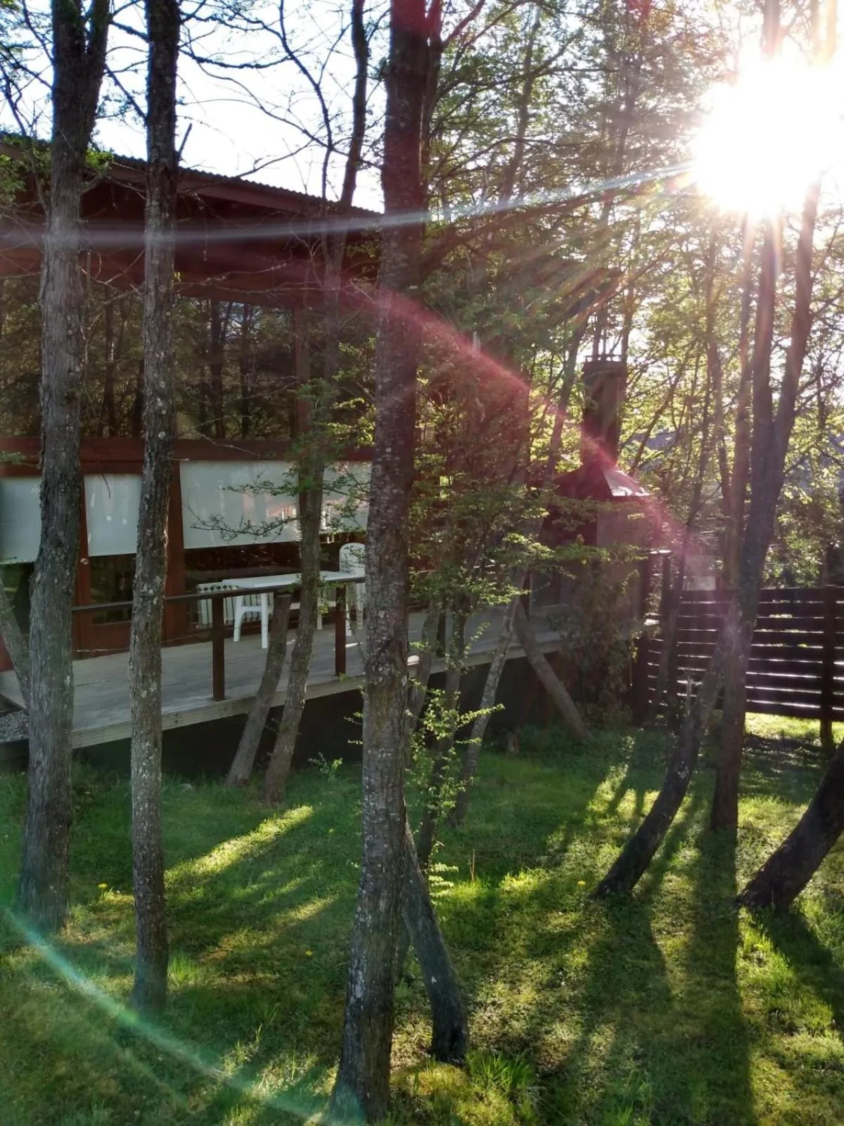 Arbolar, Casas de Montaña- Piscina climatizada
