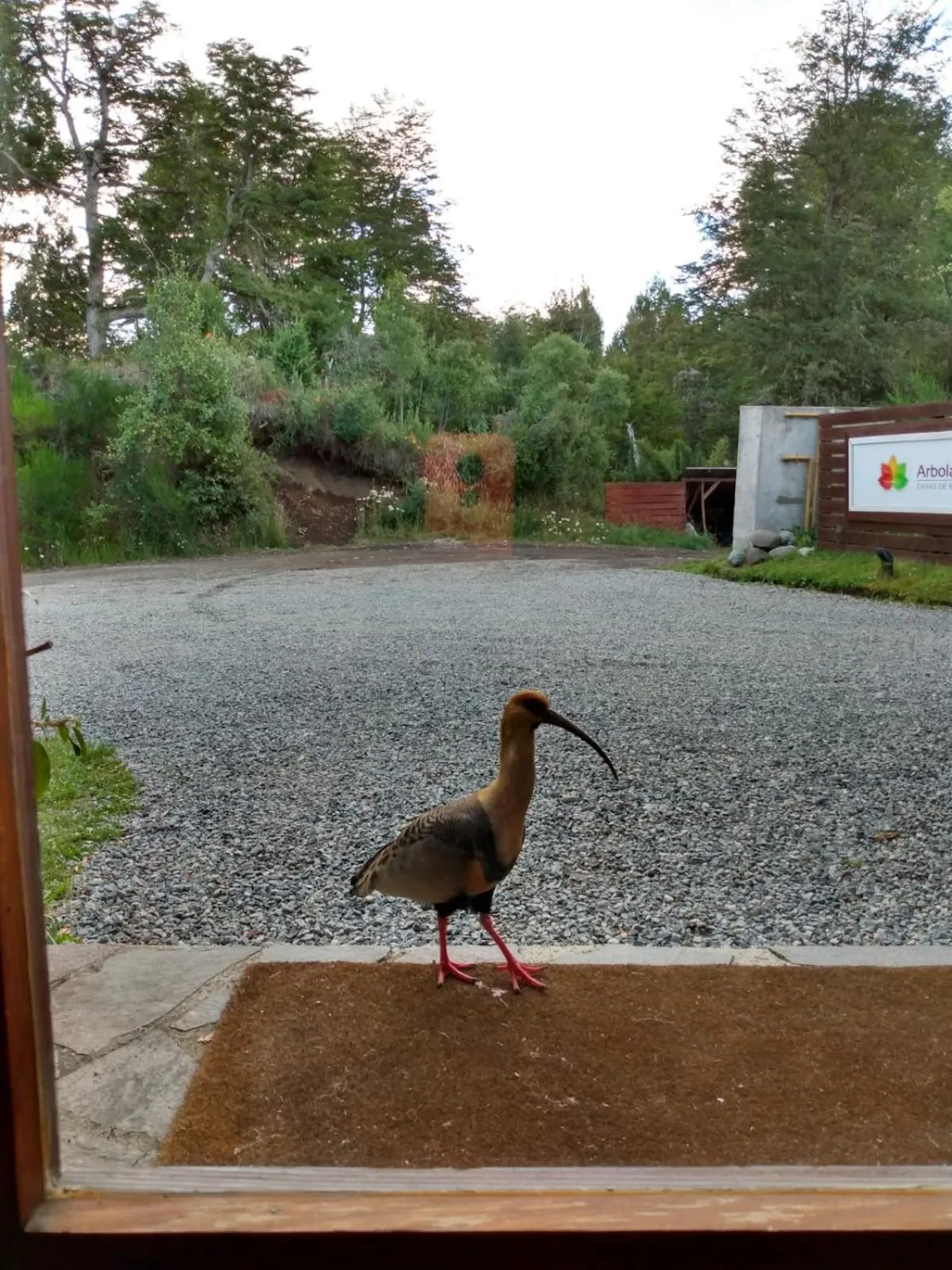 Arbolar, Casas de Montaña- Piscina climatizada