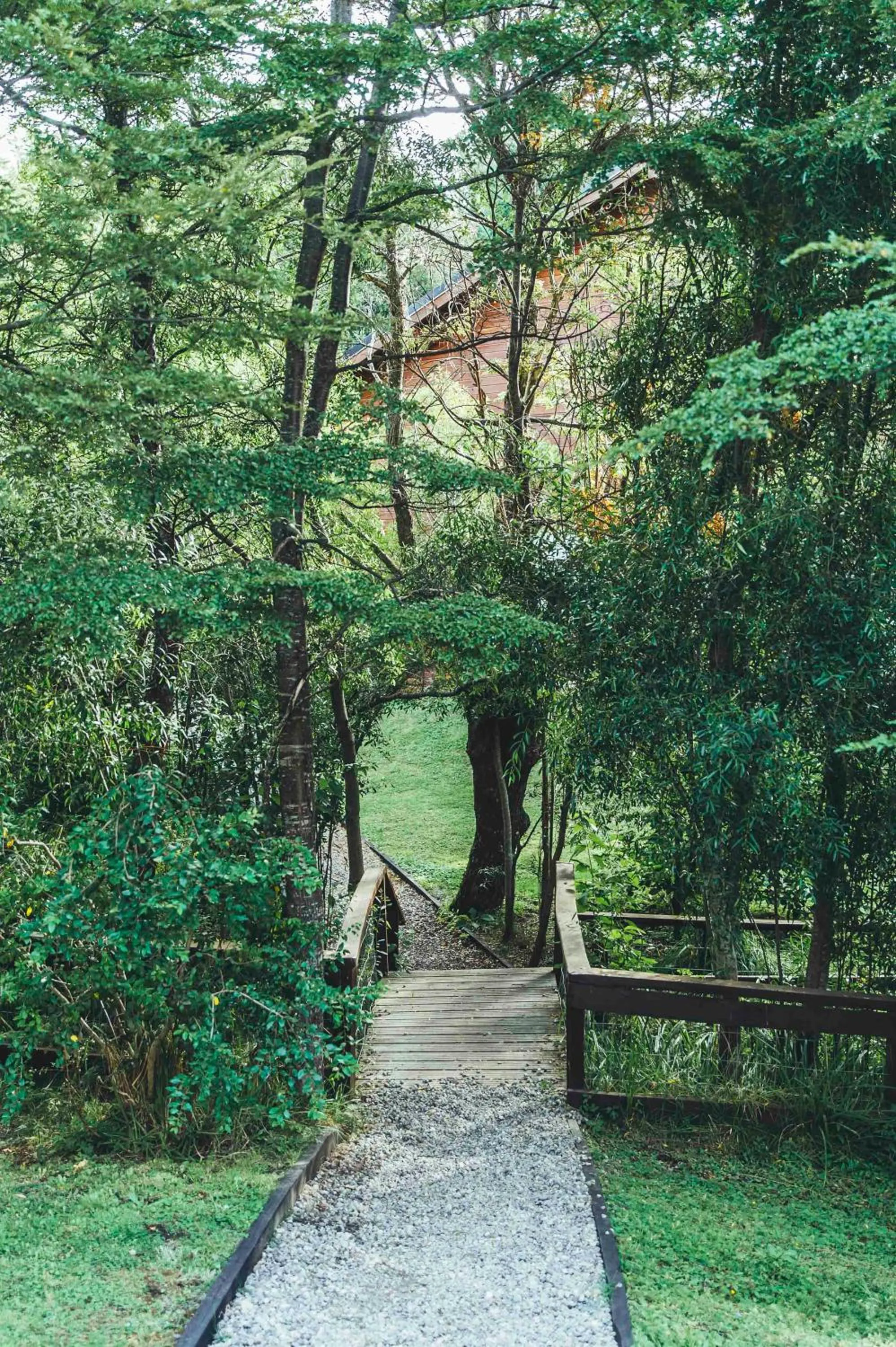 Arbolar, Casas de Montaña- Piscina climatizada