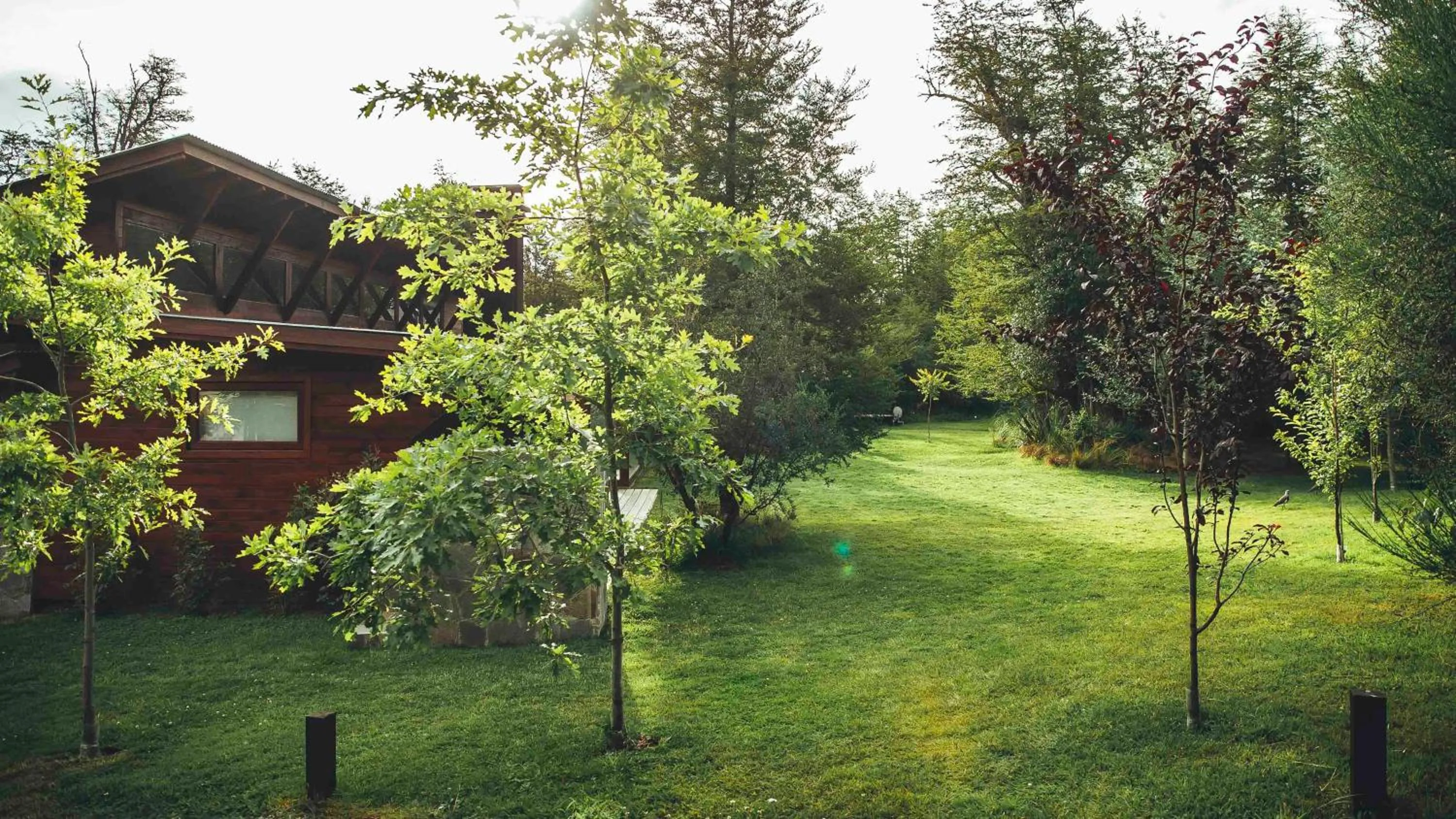 Arbolar, Casas de Montaña- Piscina climatizada