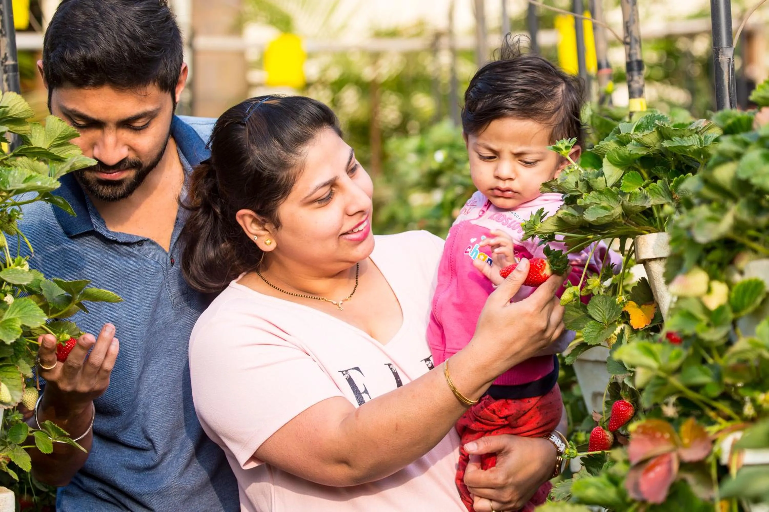 Garden in Shivsagar Resort & Spa