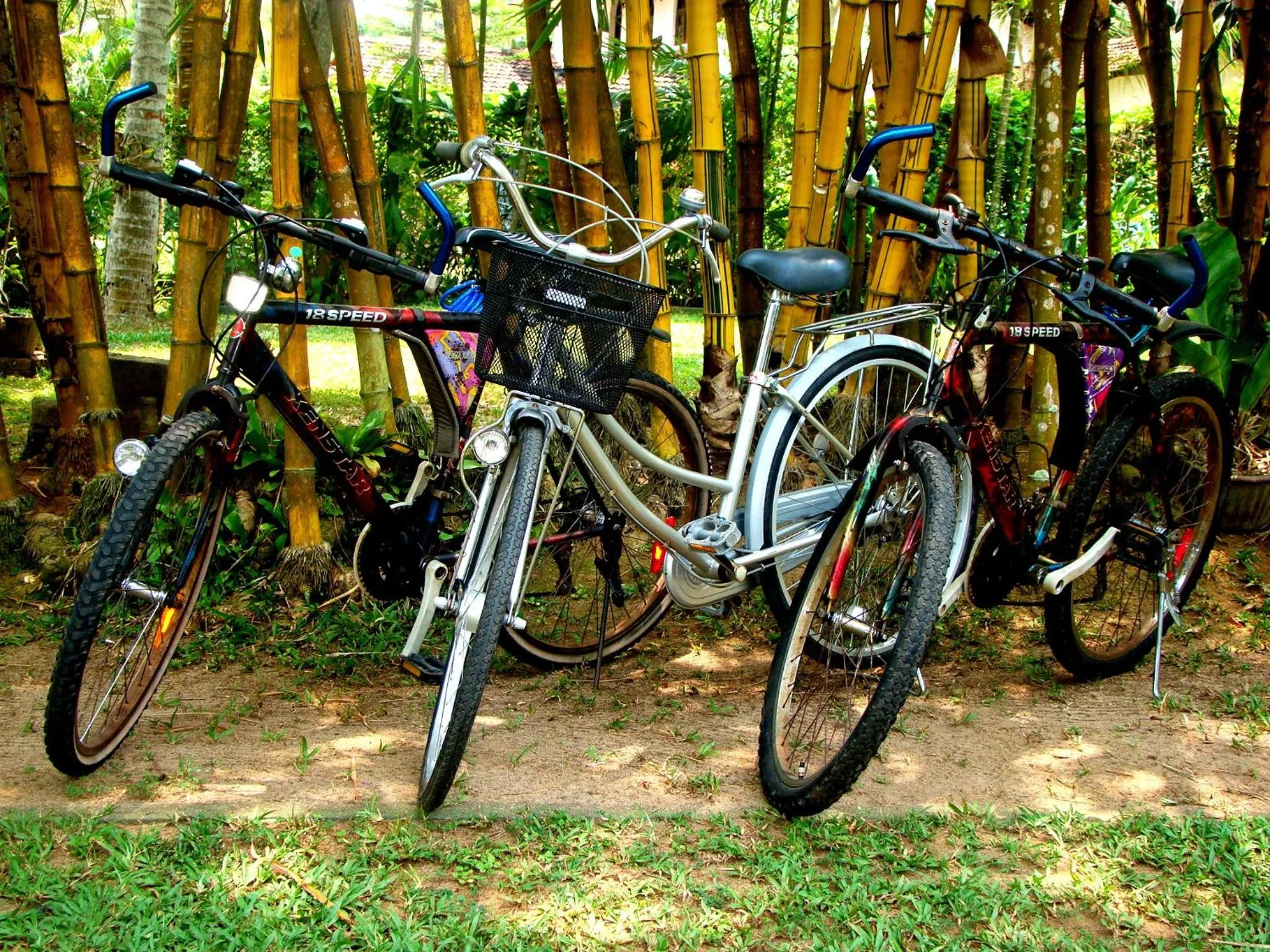 Garden in Villa Shade