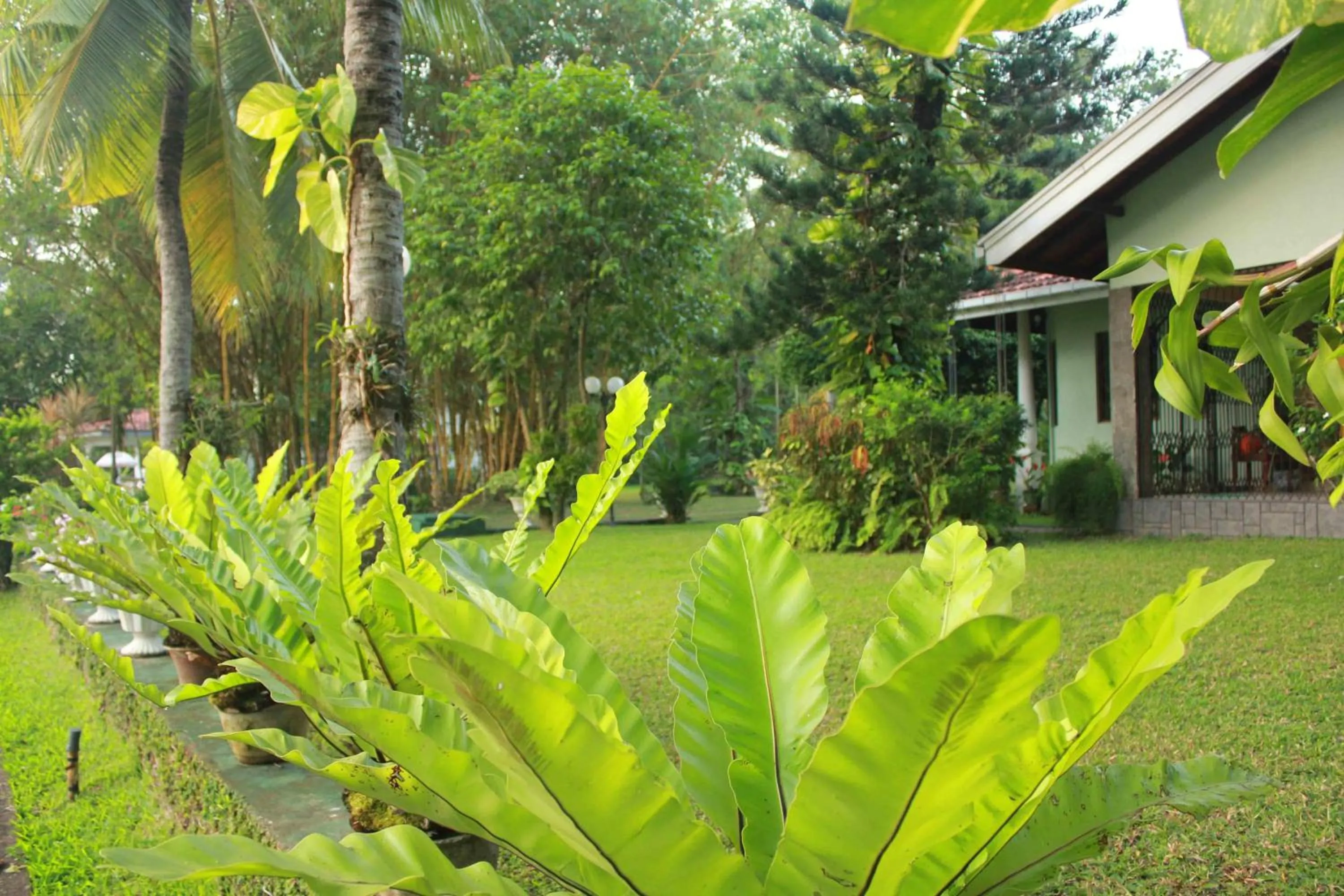 Garden in Villa Shade