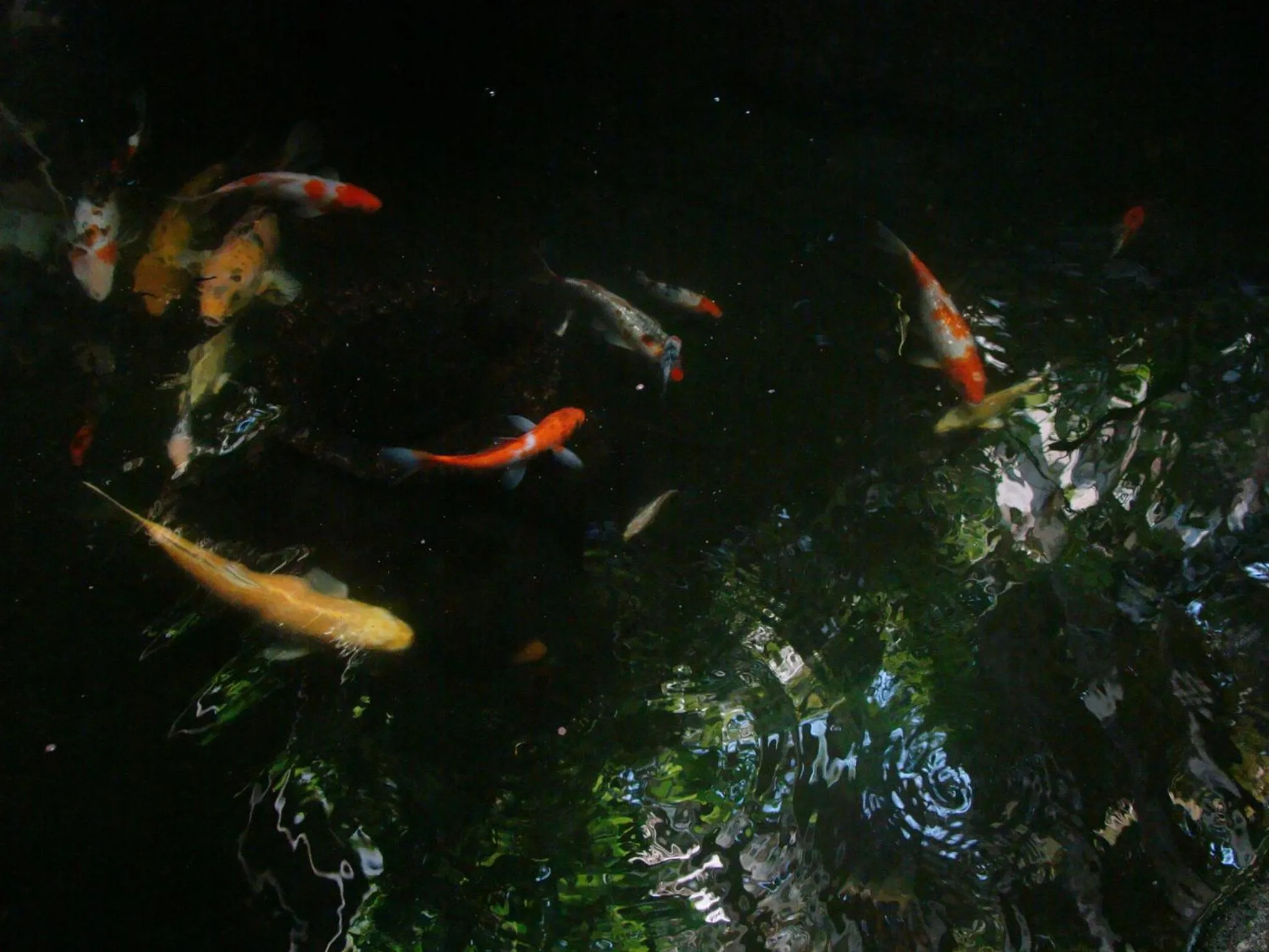 Property building in Villa Shade