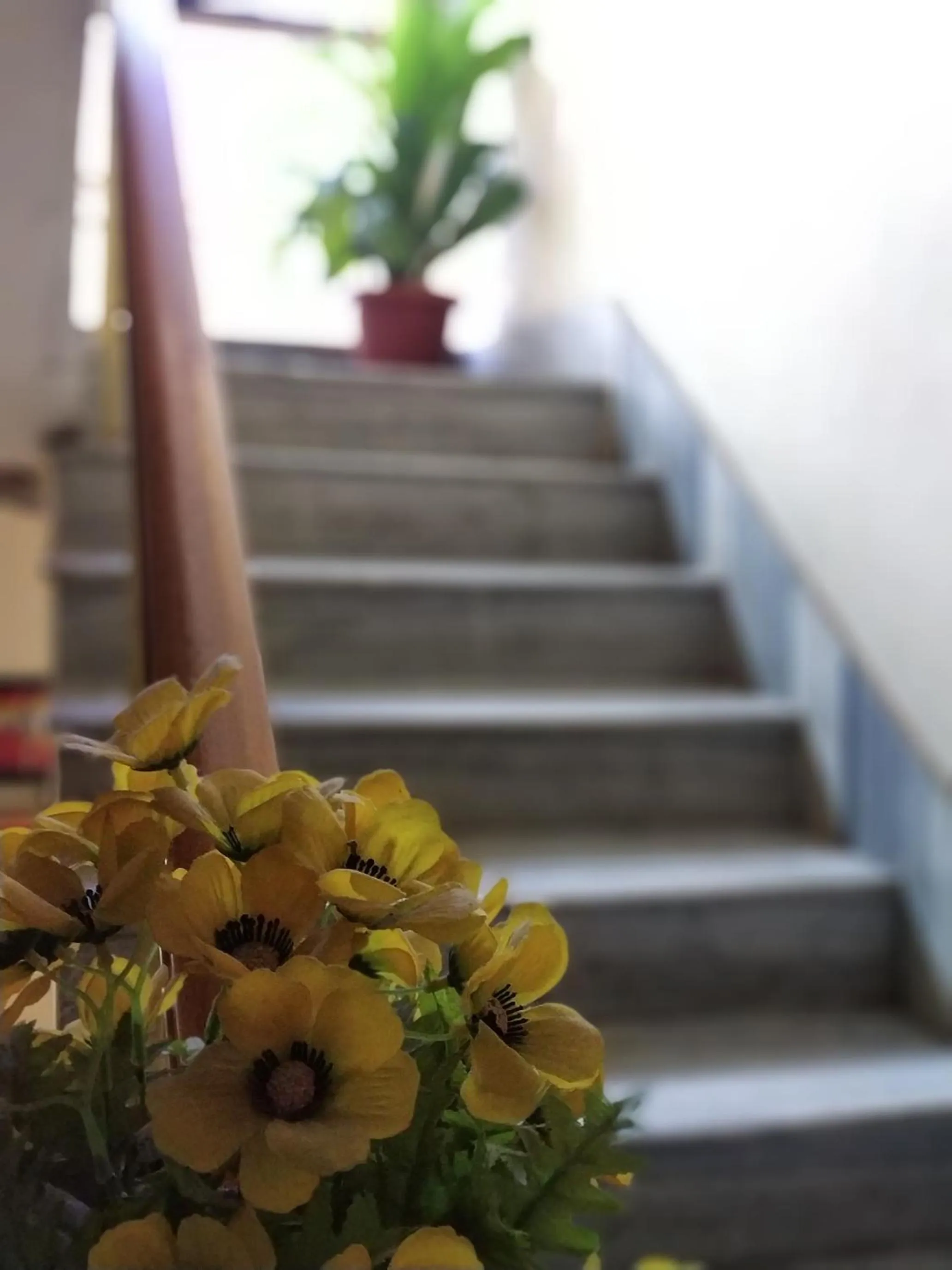 Area and facilities in Hotel Executive Tower