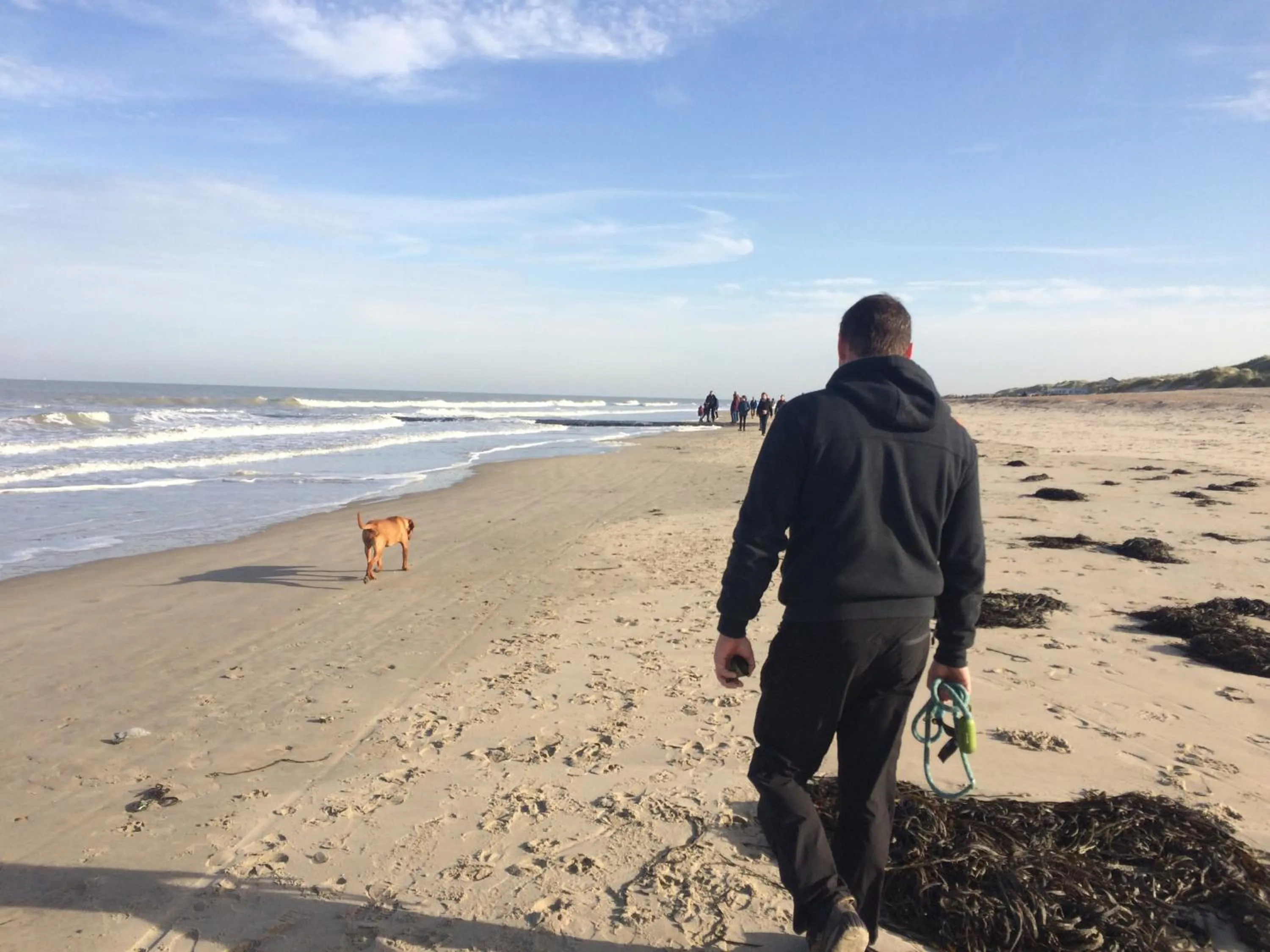 Beach in Zeepark Zeewind