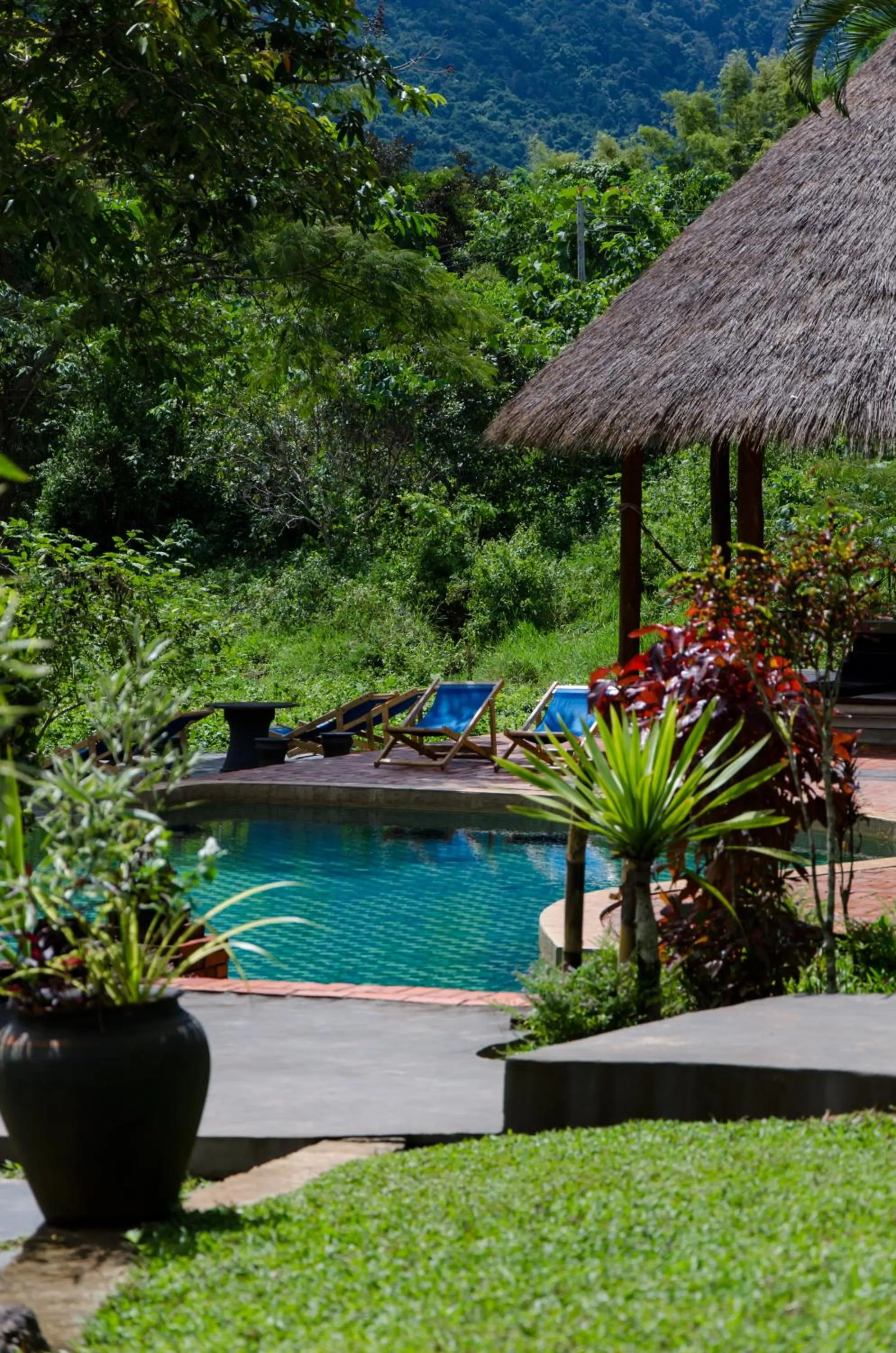 Swimming pool in Hillside - Nature Lifestyle Lodge