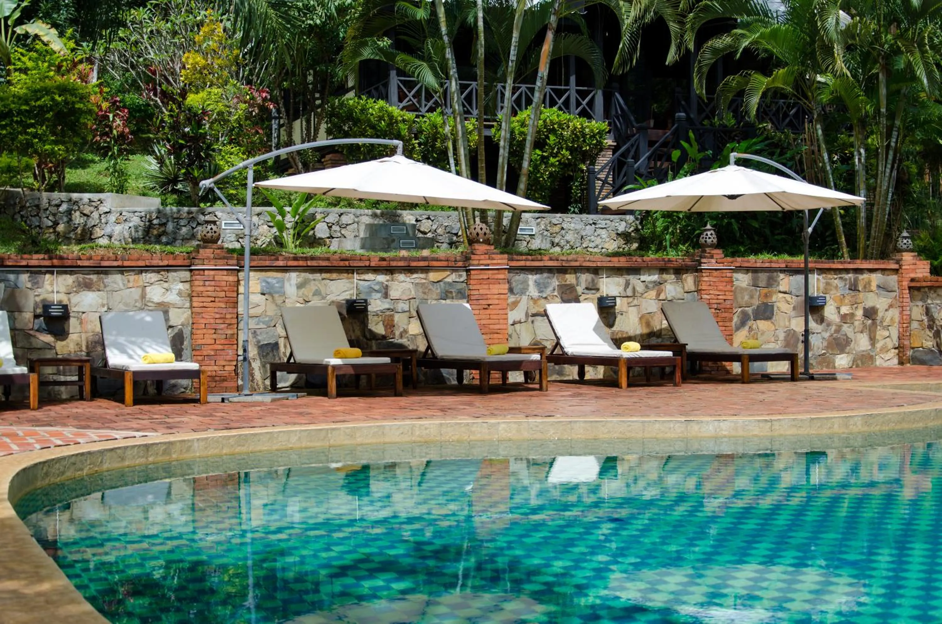 Swimming pool in Hillside - Nature Lifestyle Lodge