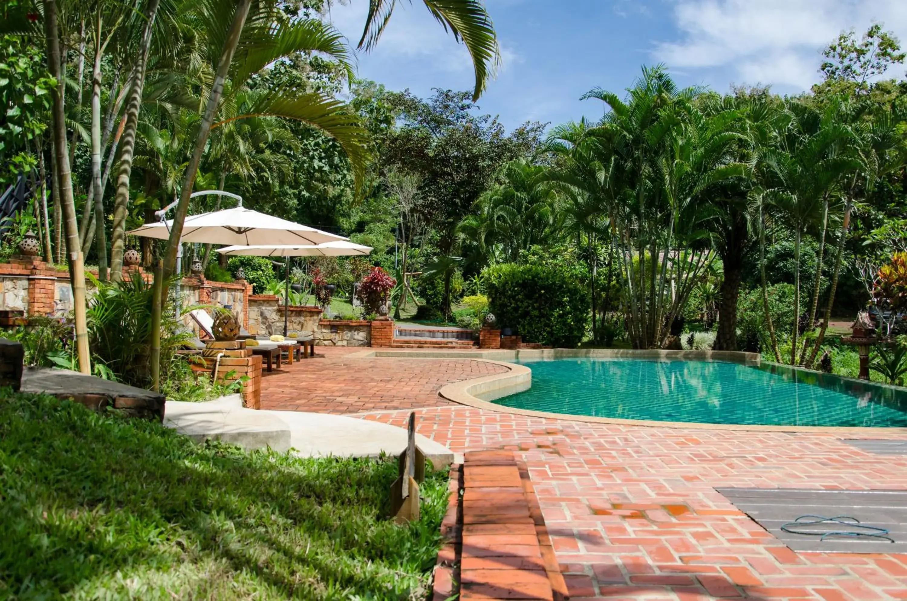 Swimming pool in Hillside - Nature Lifestyle Lodge Swimming pool in Hillside - Nature Lifestyle Lodge