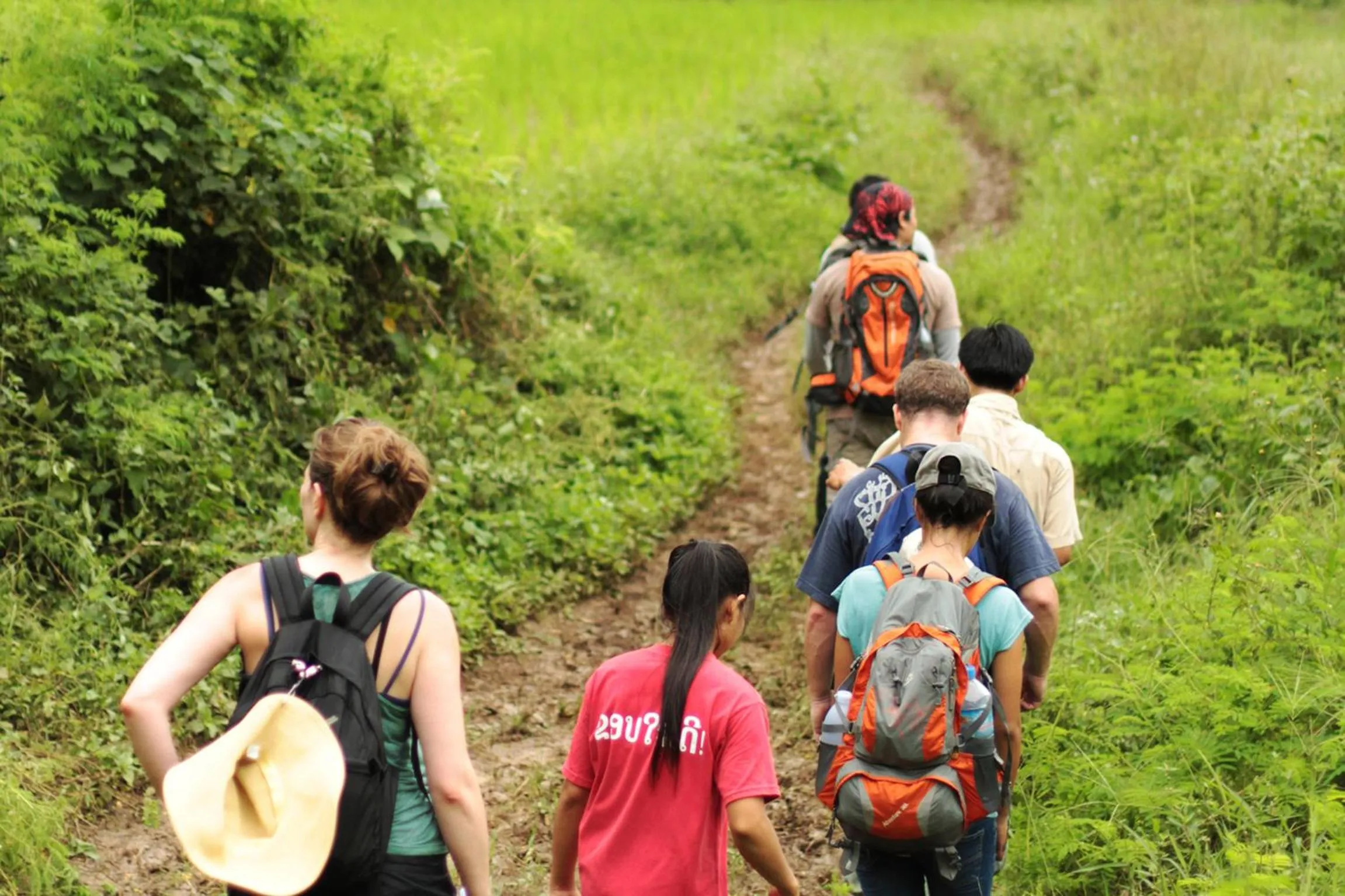 Off site in Hillside - Nature Lifestyle Lodge