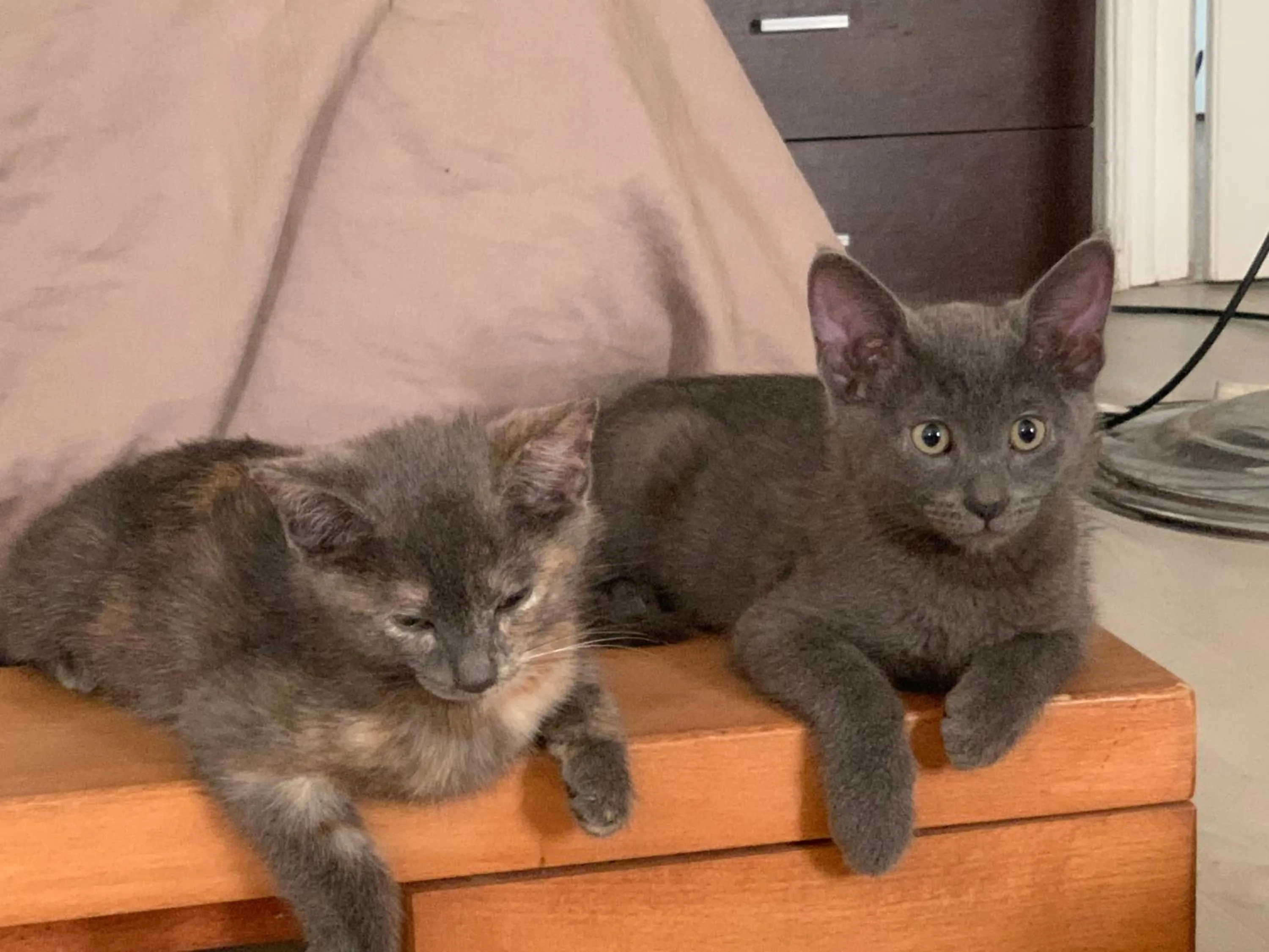 Venezia Naturalmente