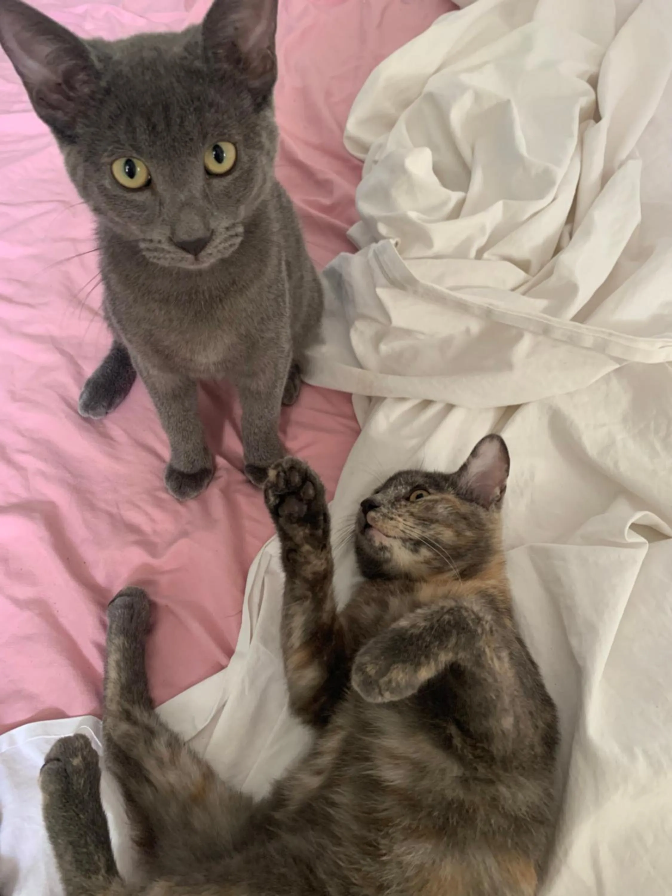 Venezia Naturalmente