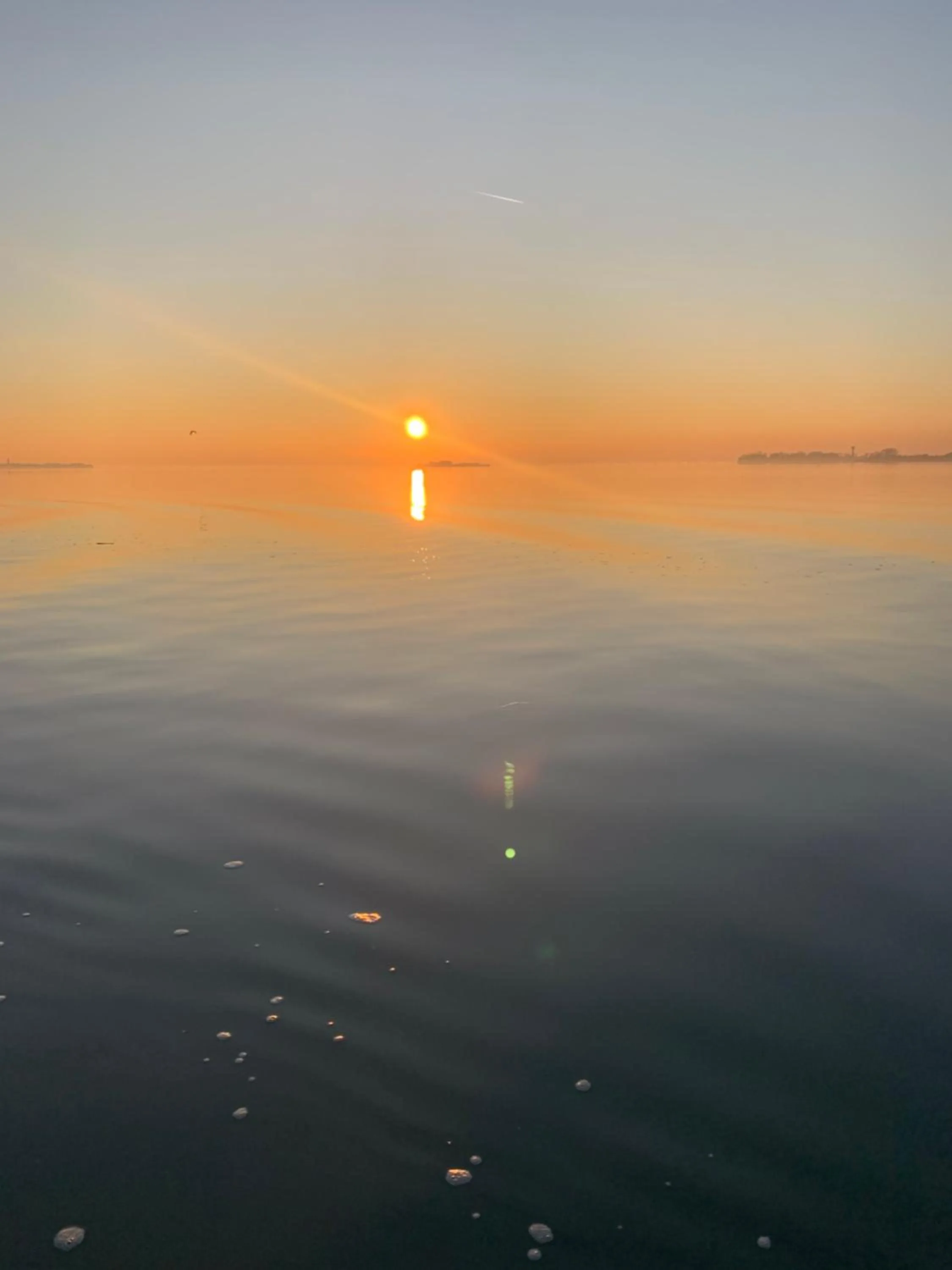 Venezia Naturalmente