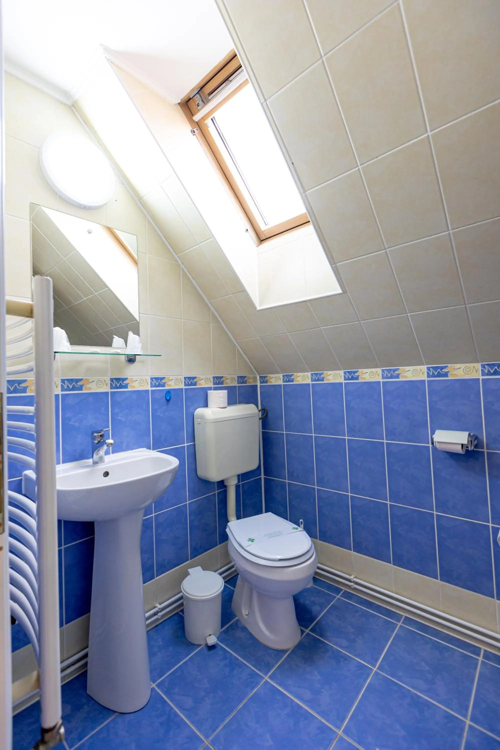 Toilet in Pensiunea Joker