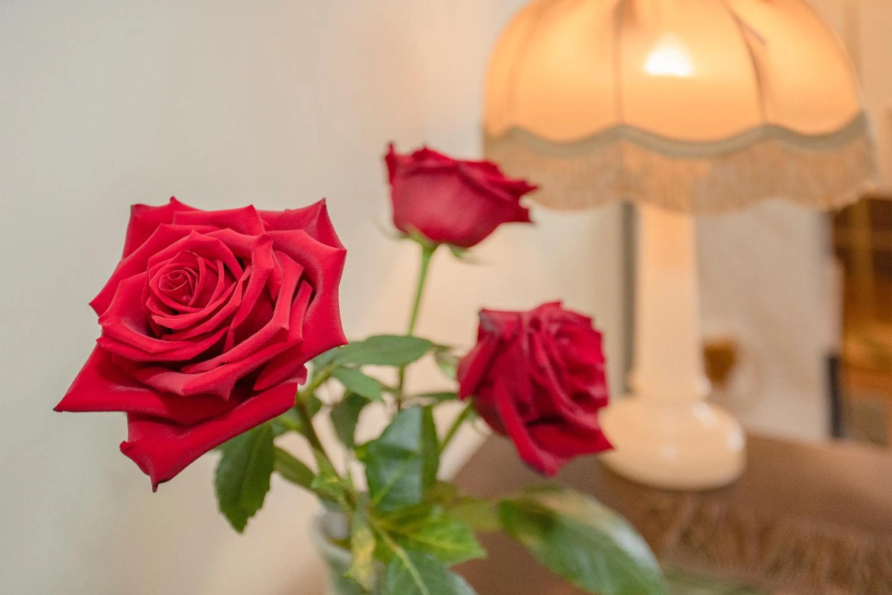 Bed in Palace Museum & National Monument - Espaço Palmeiras