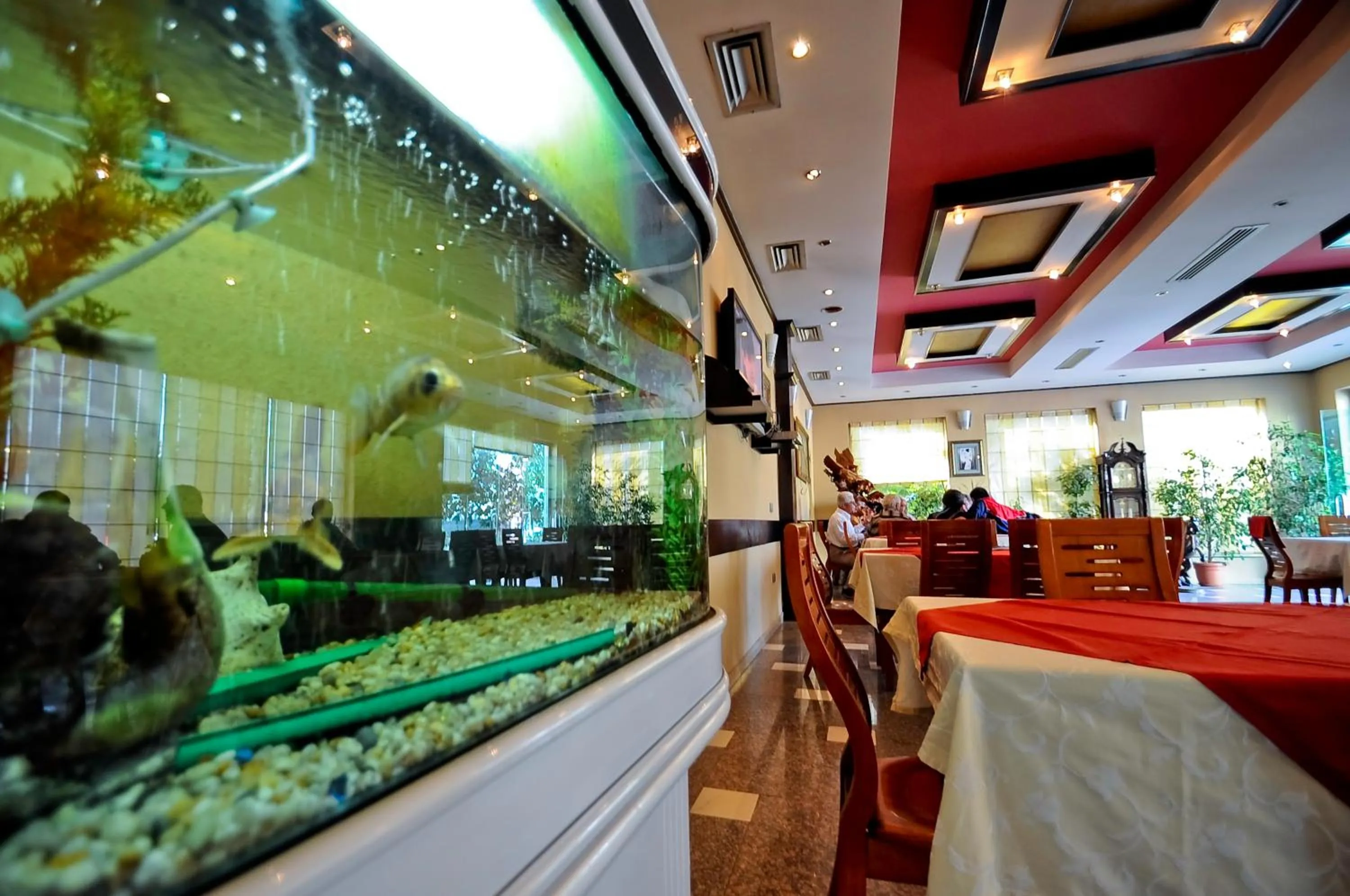 Restaurant/places to eat in Hotel Lubjana