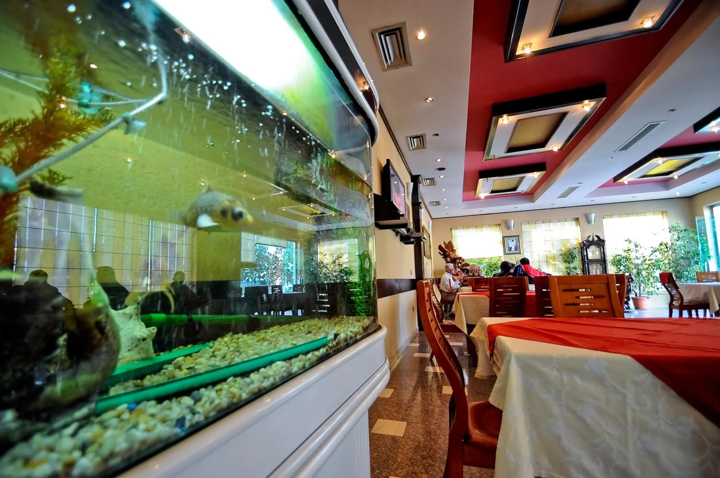 Restaurant/places to eat in Hotel Lubjana