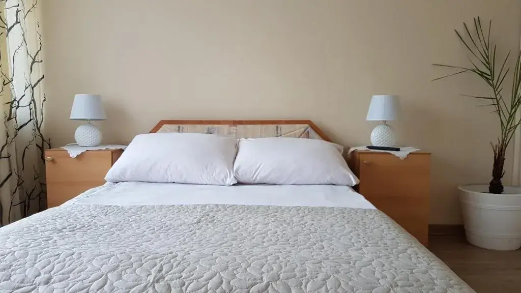 Hotel Śnieżnik Hotel Śnieżnik