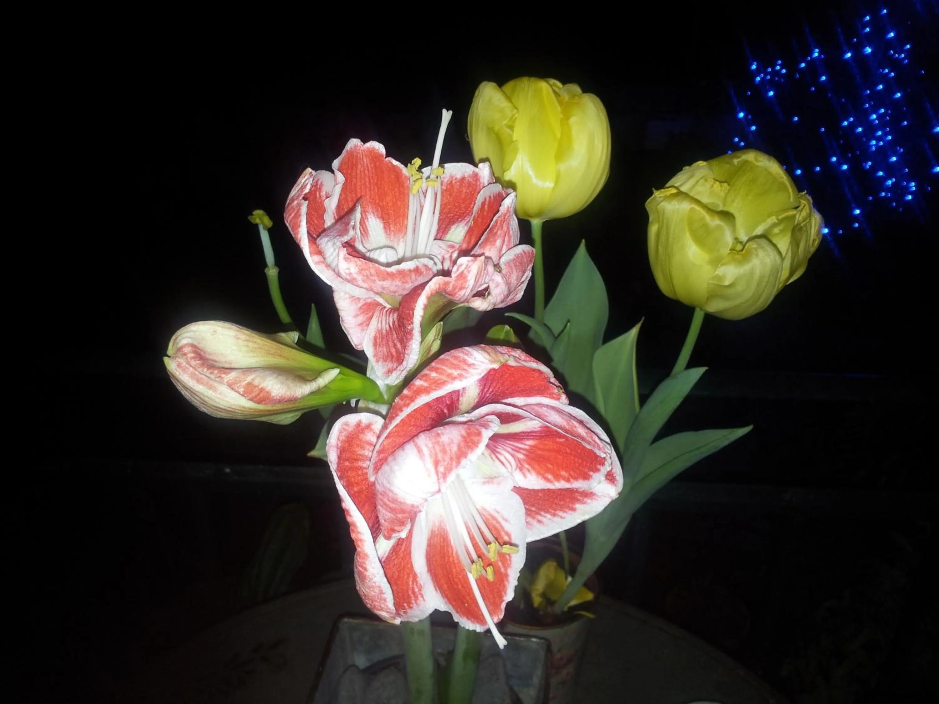 Balcony/Terrace in Whatever Art B&B