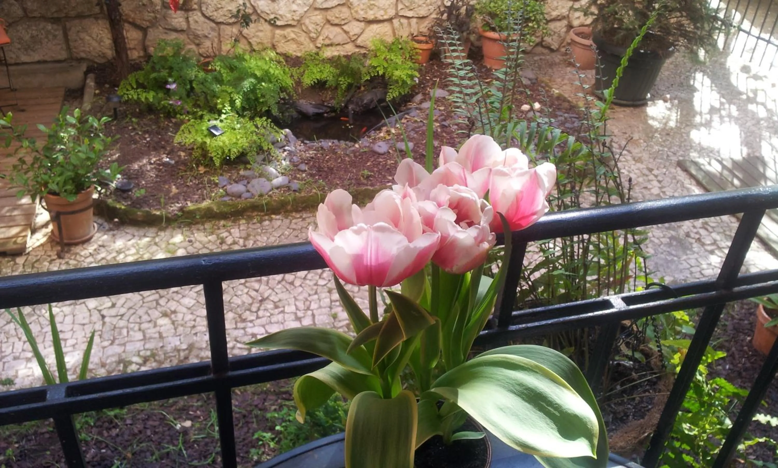 Balcony/Terrace in Whatever Art B&B