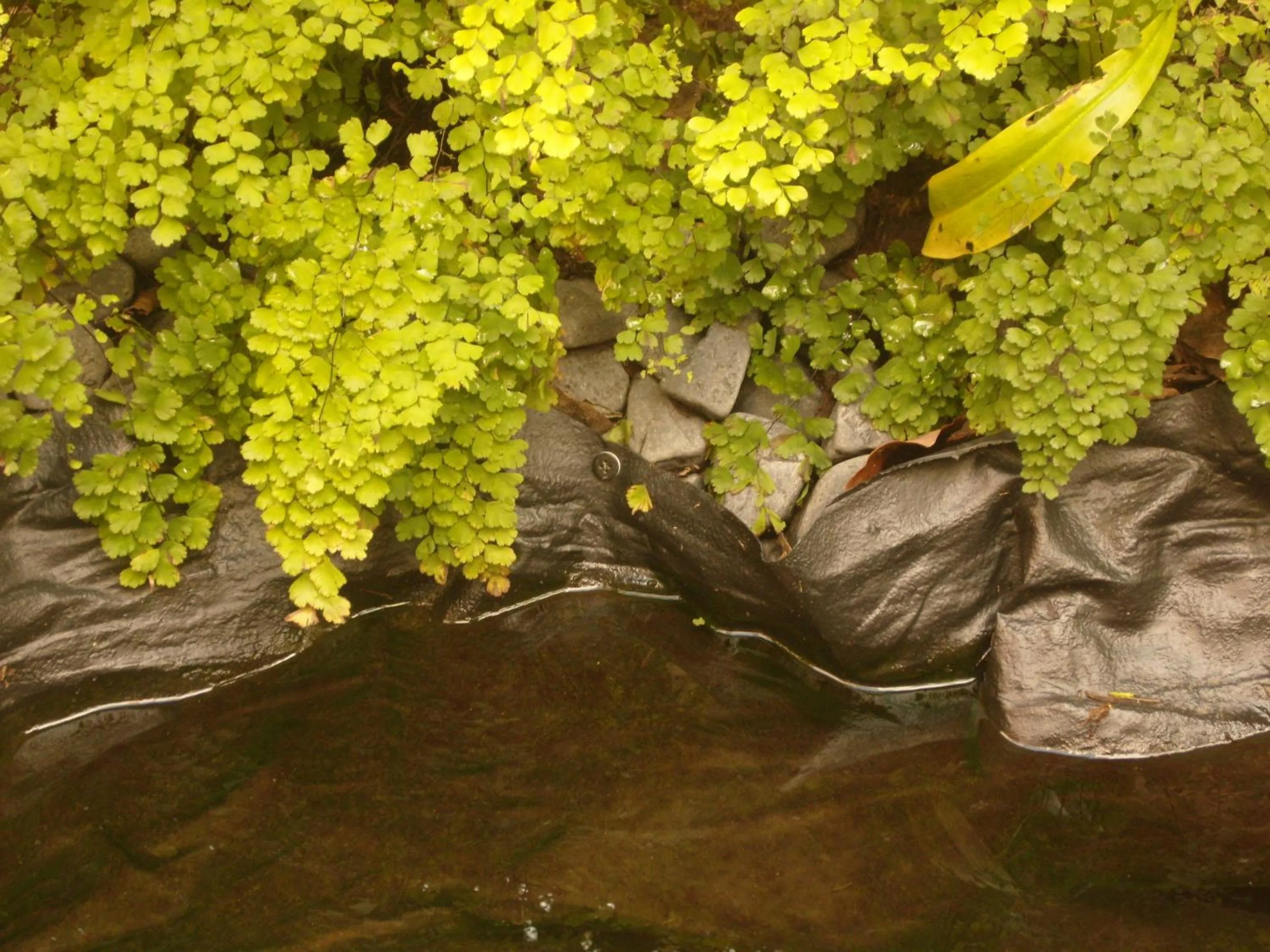 Garden in Whatever Art B&B