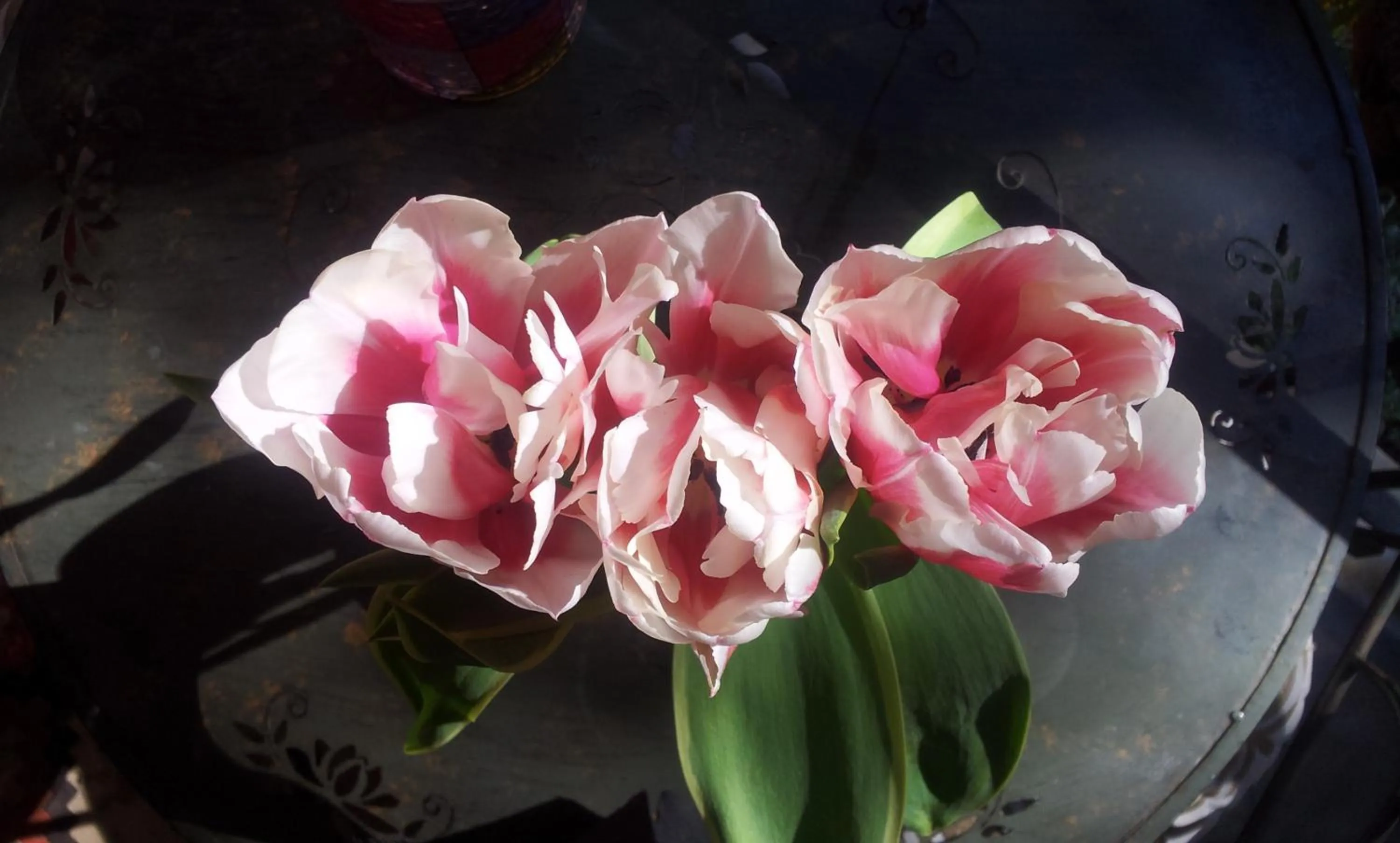 Balcony/Terrace in Whatever Art B&B