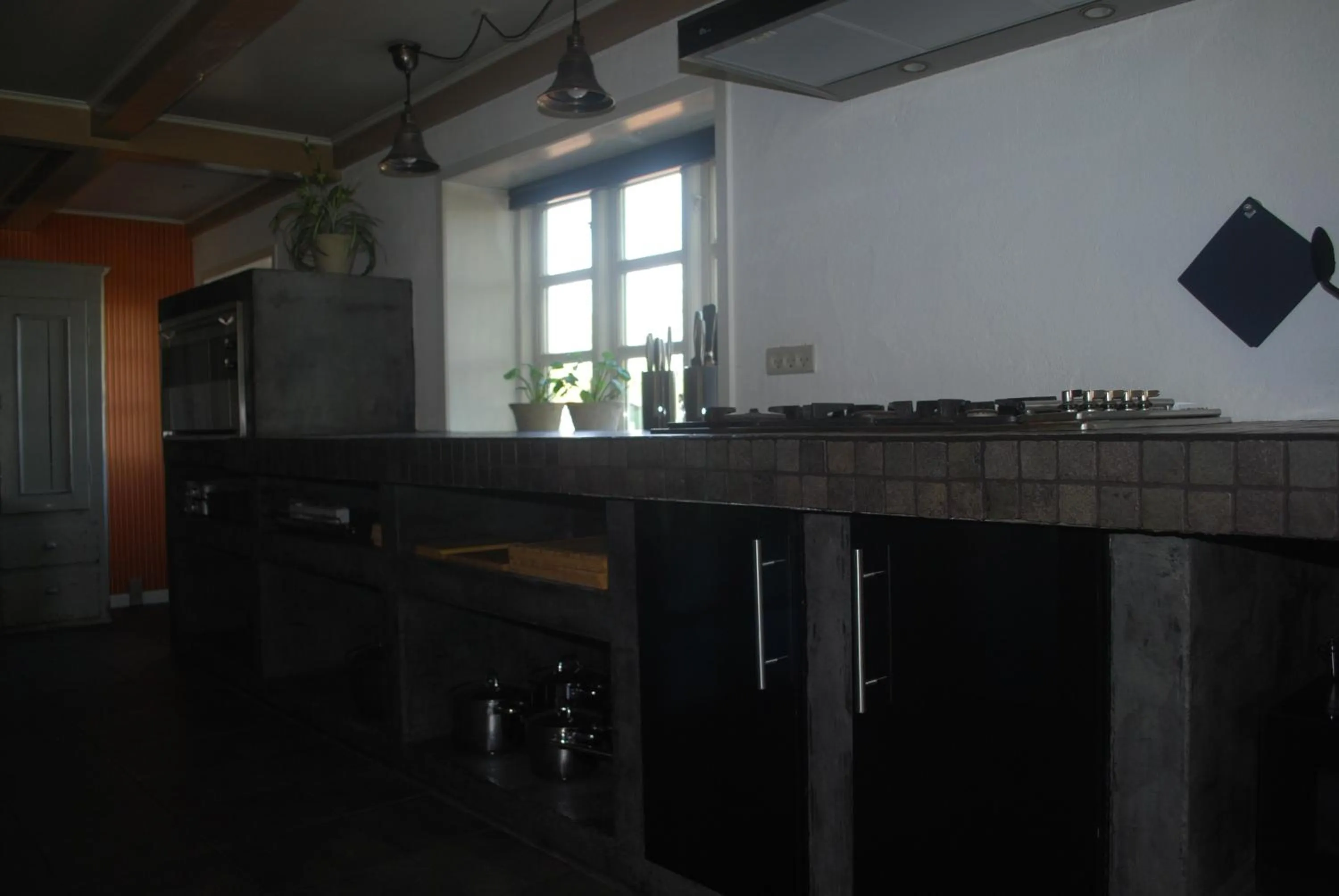 Kitchen or kitchenette in Adventure Park Apartments