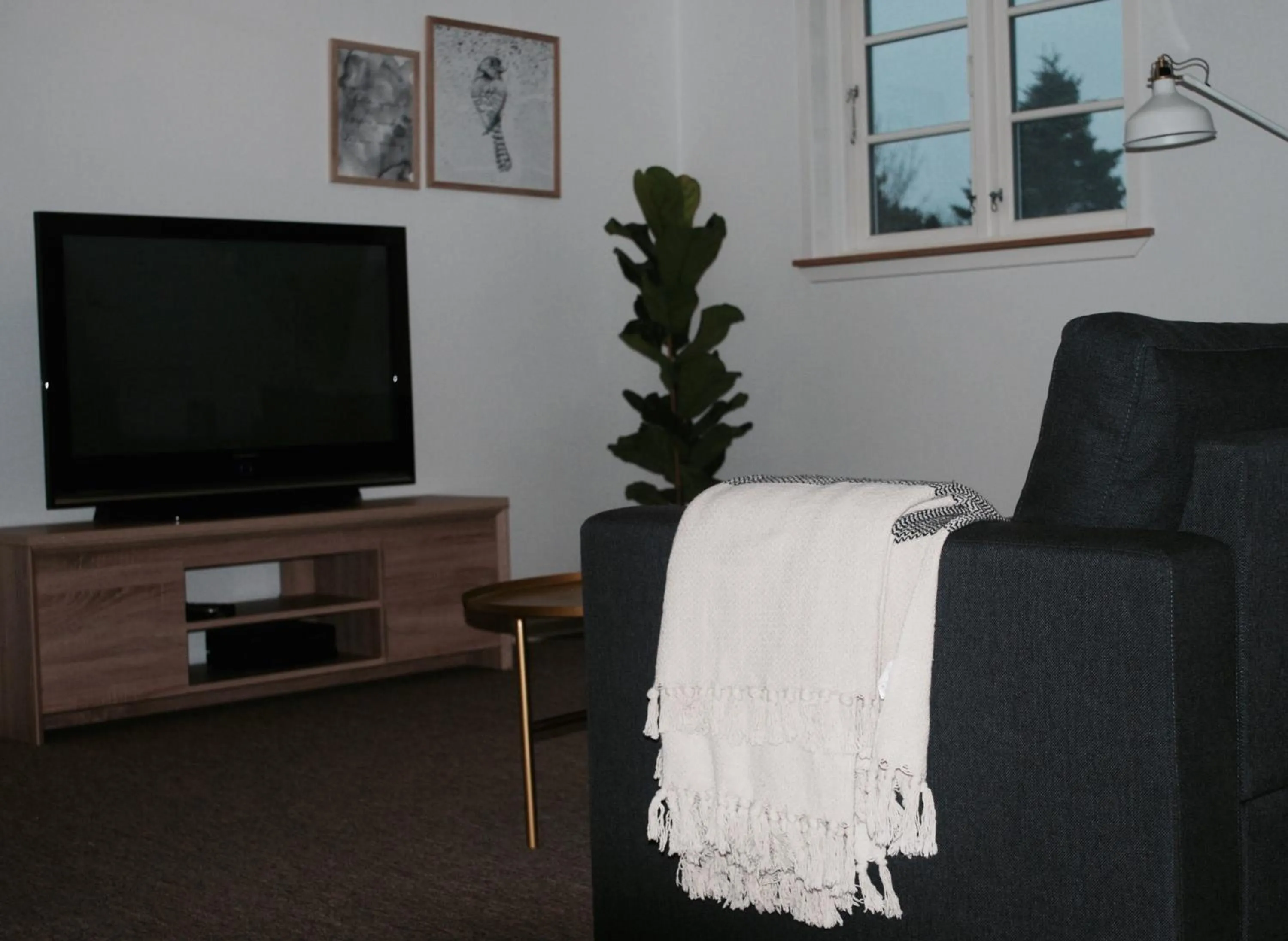Living room in Adventure Park Apartments
