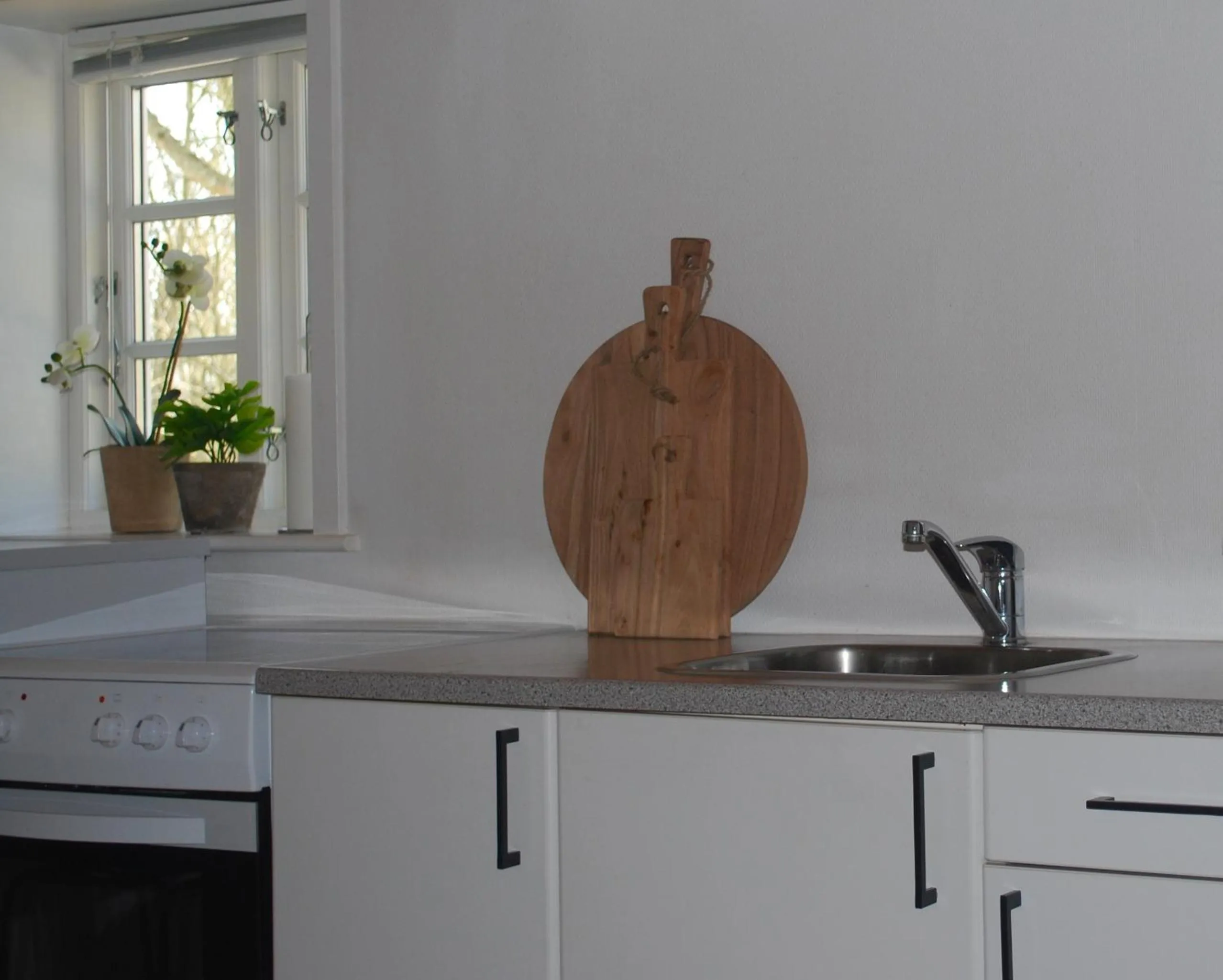 Kitchen or kitchenette in Adventure Park Apartments