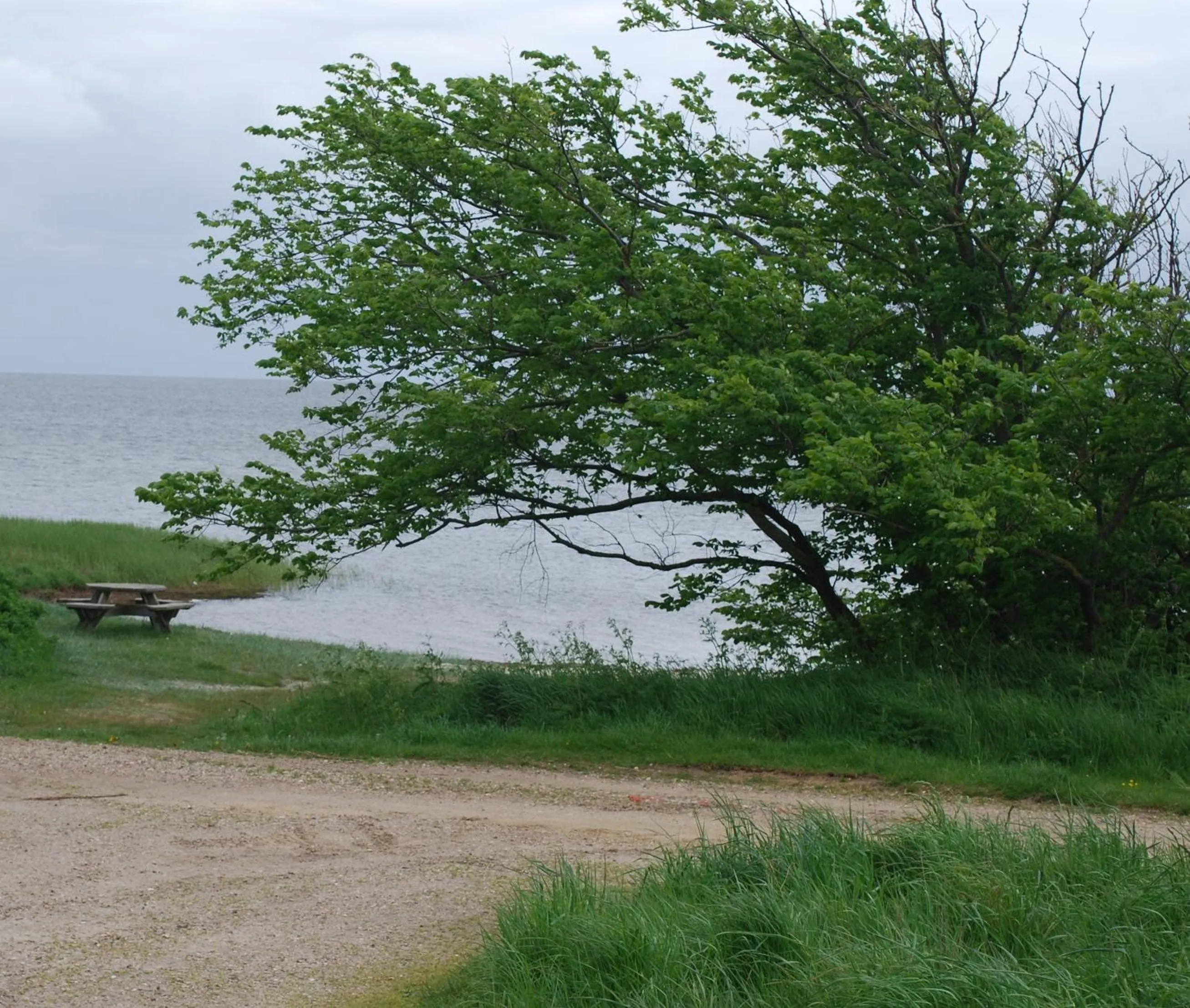 Beach in Adventure Park Apartments