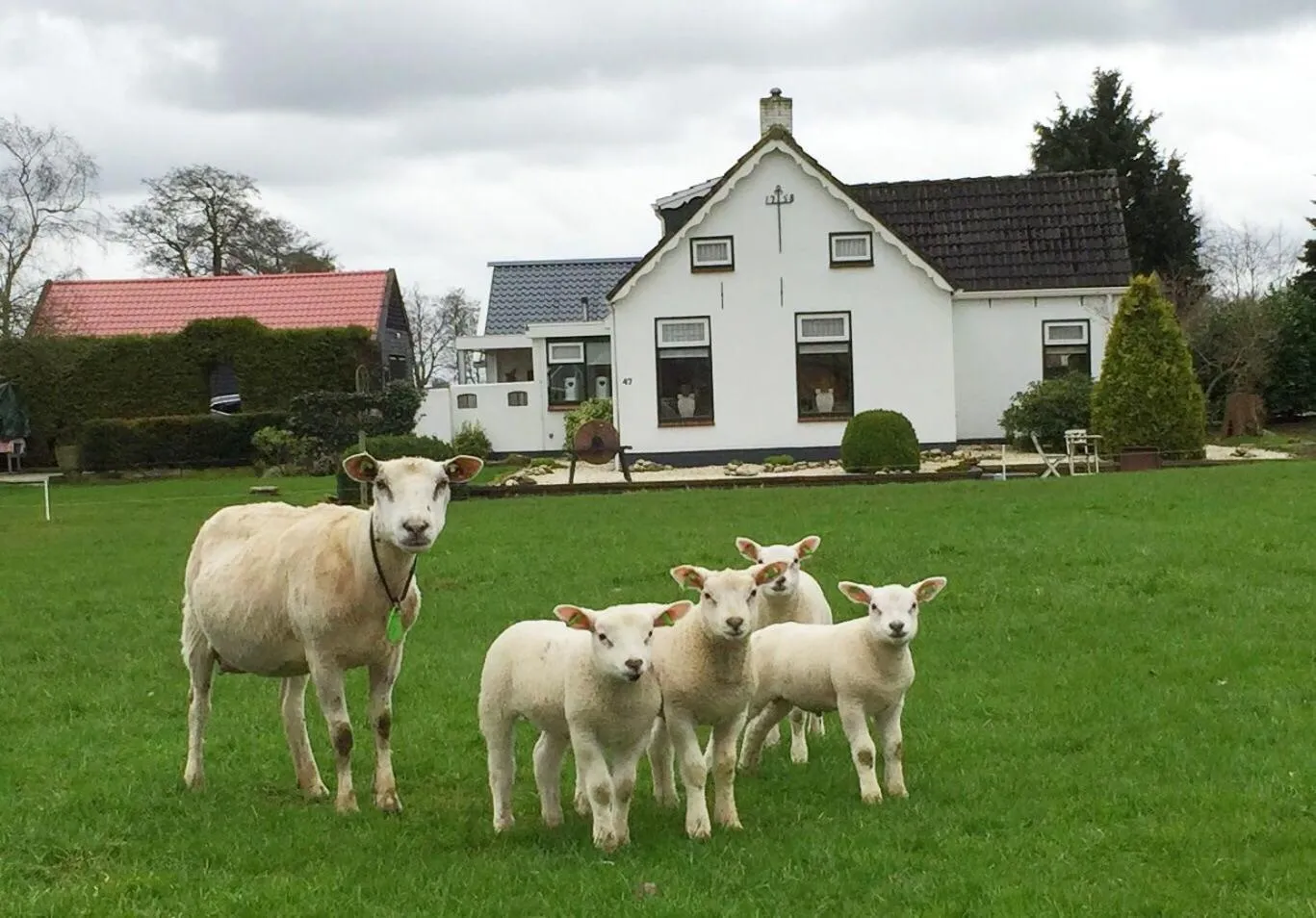 Property building in Sfeervol Appartement Het Knooppunt