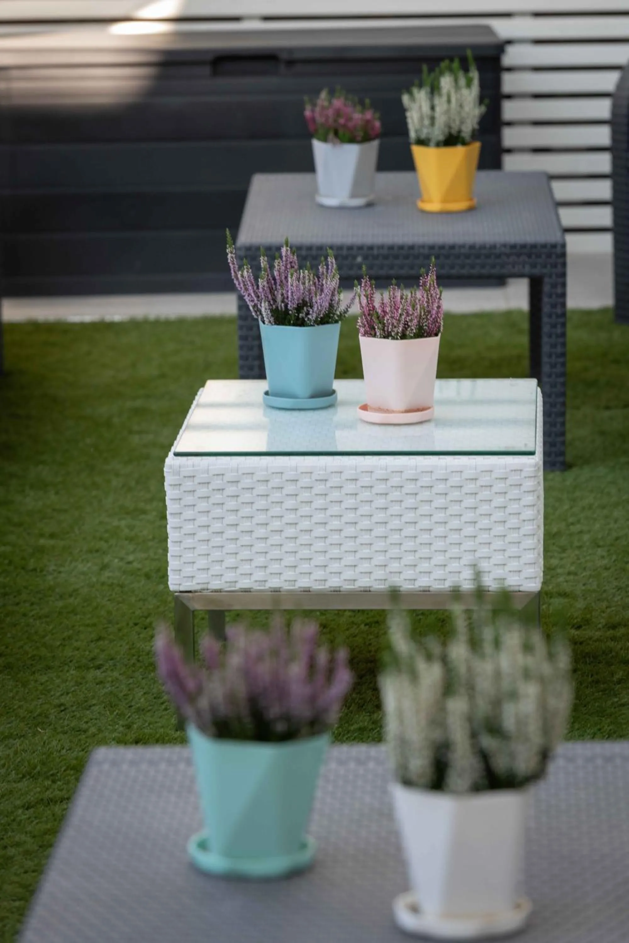 Garden in Hotel Smart Cervia B&B