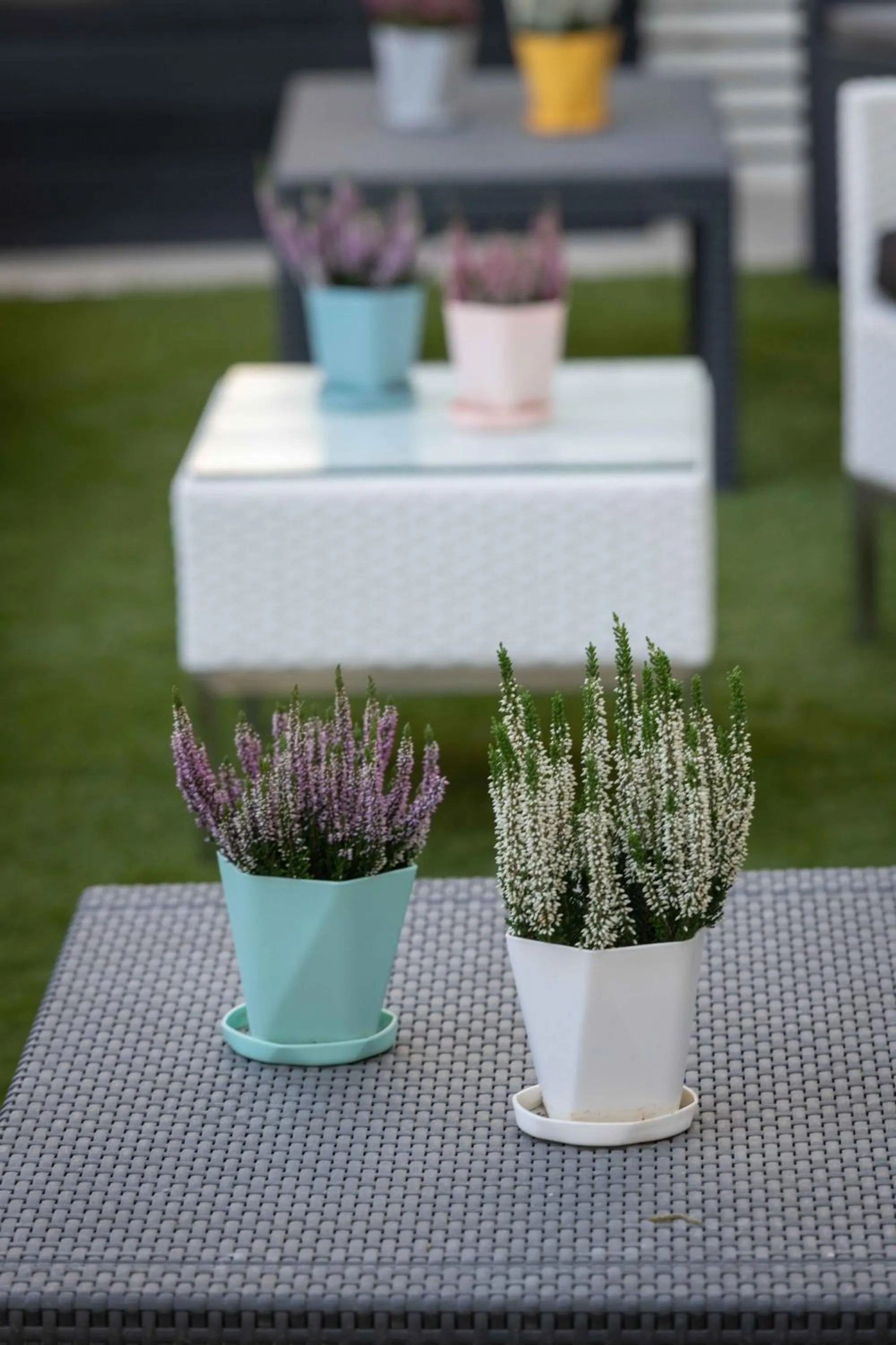 Garden in Hotel Smart Cervia B&B