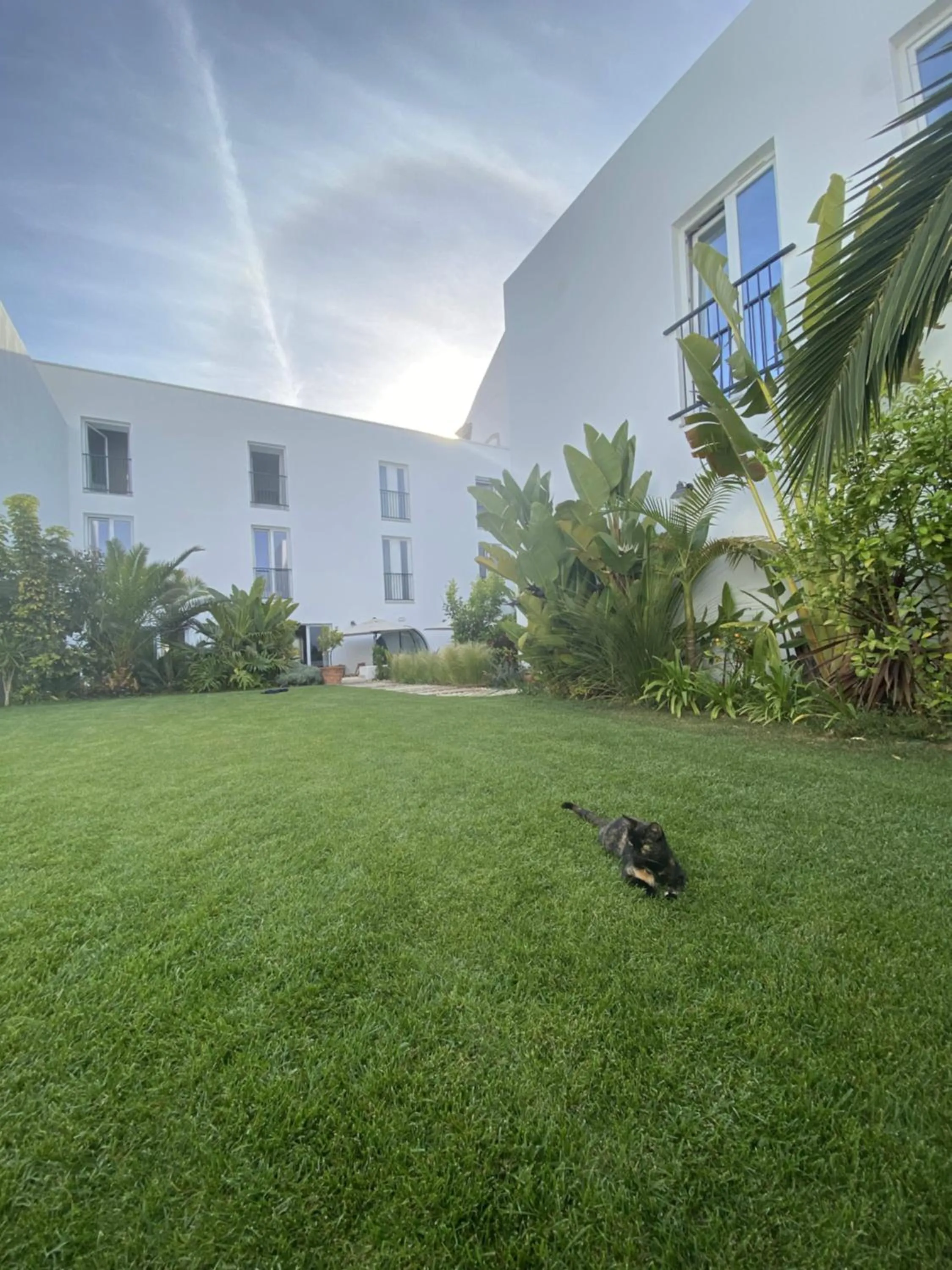 Garden in Casa Apollo Guesthouse