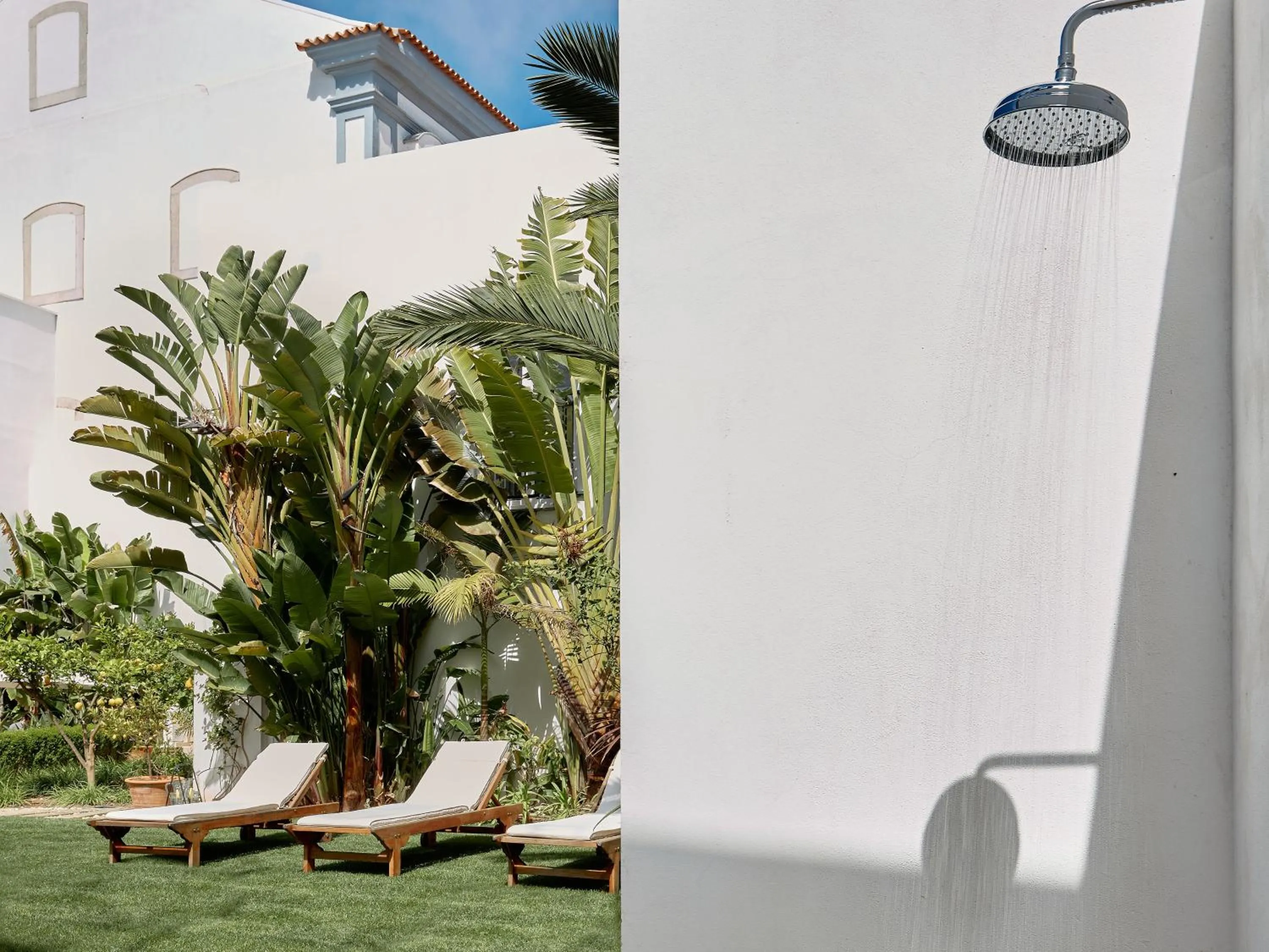 Garden in Casa Apollo Guesthouse