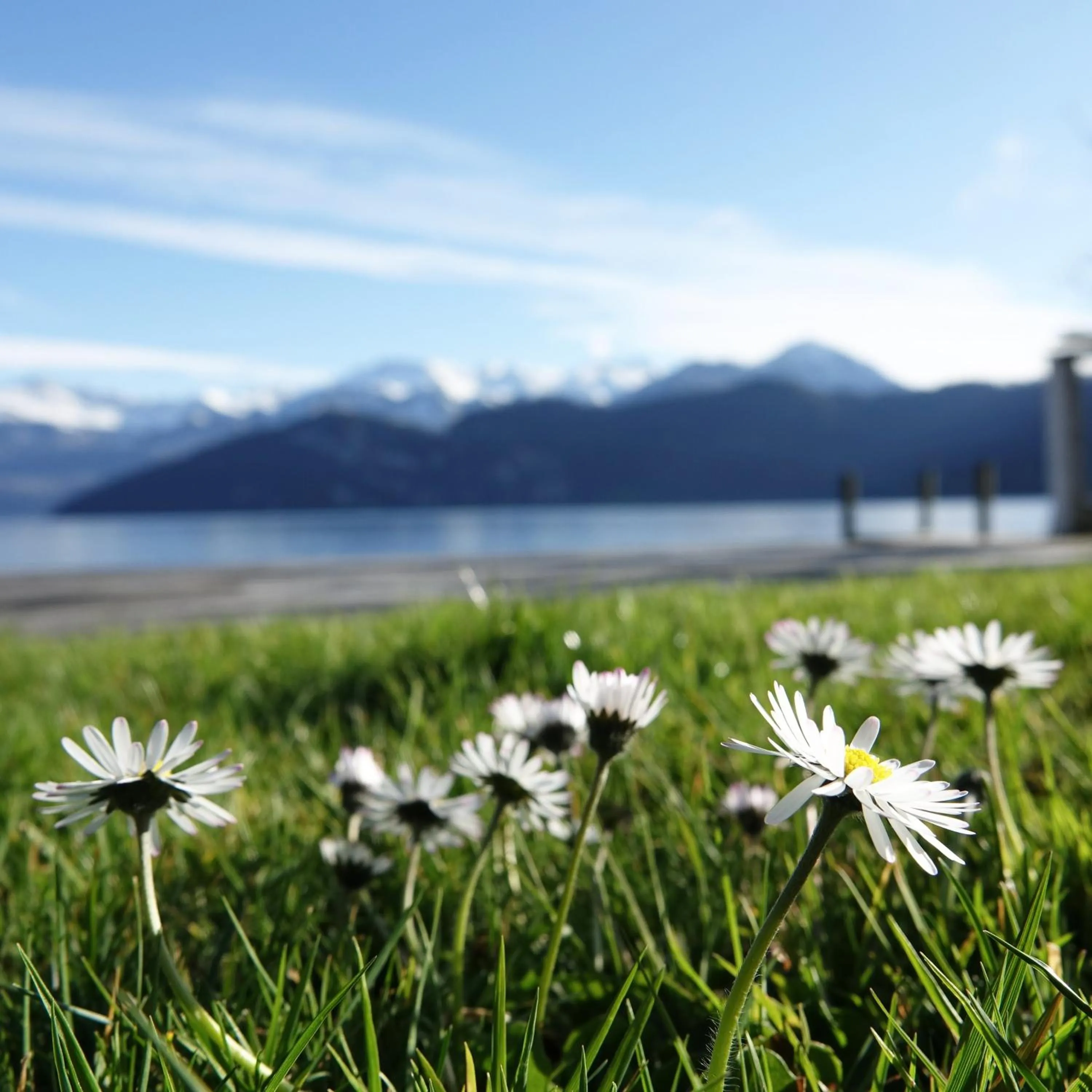 Spring in Seminar-Hotel Rigi am See